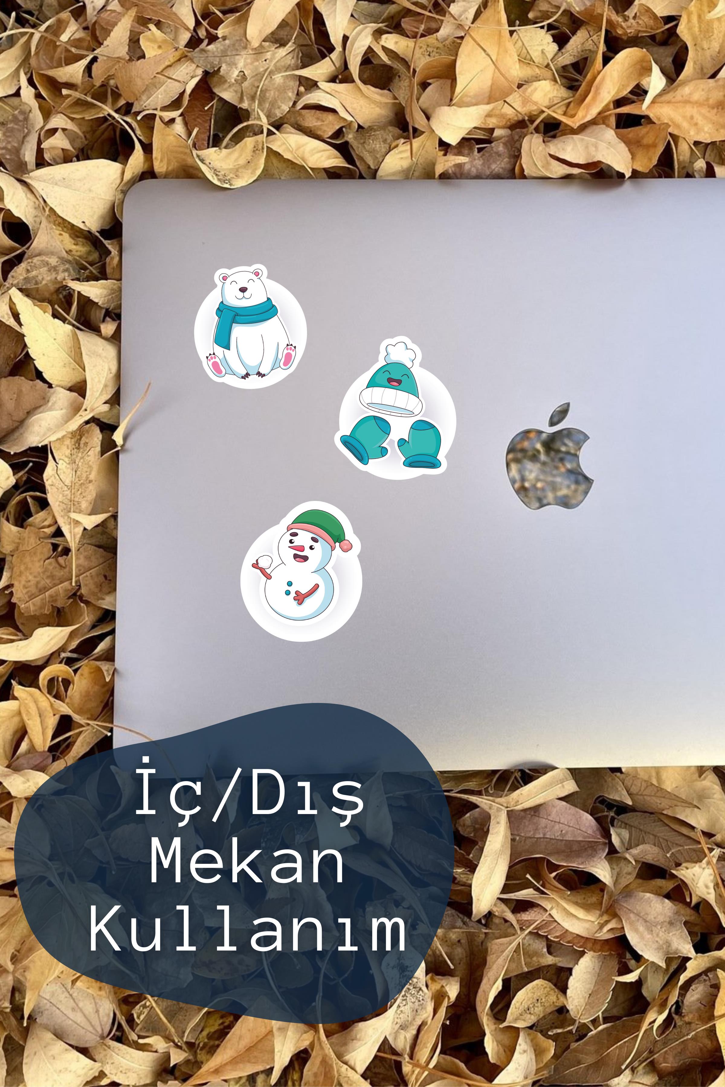 Kış Temalı Sticker ve Etiket Seti - Orta Boy - Su Geçirmez, Kalın Yapışkanlı Sticker Seti