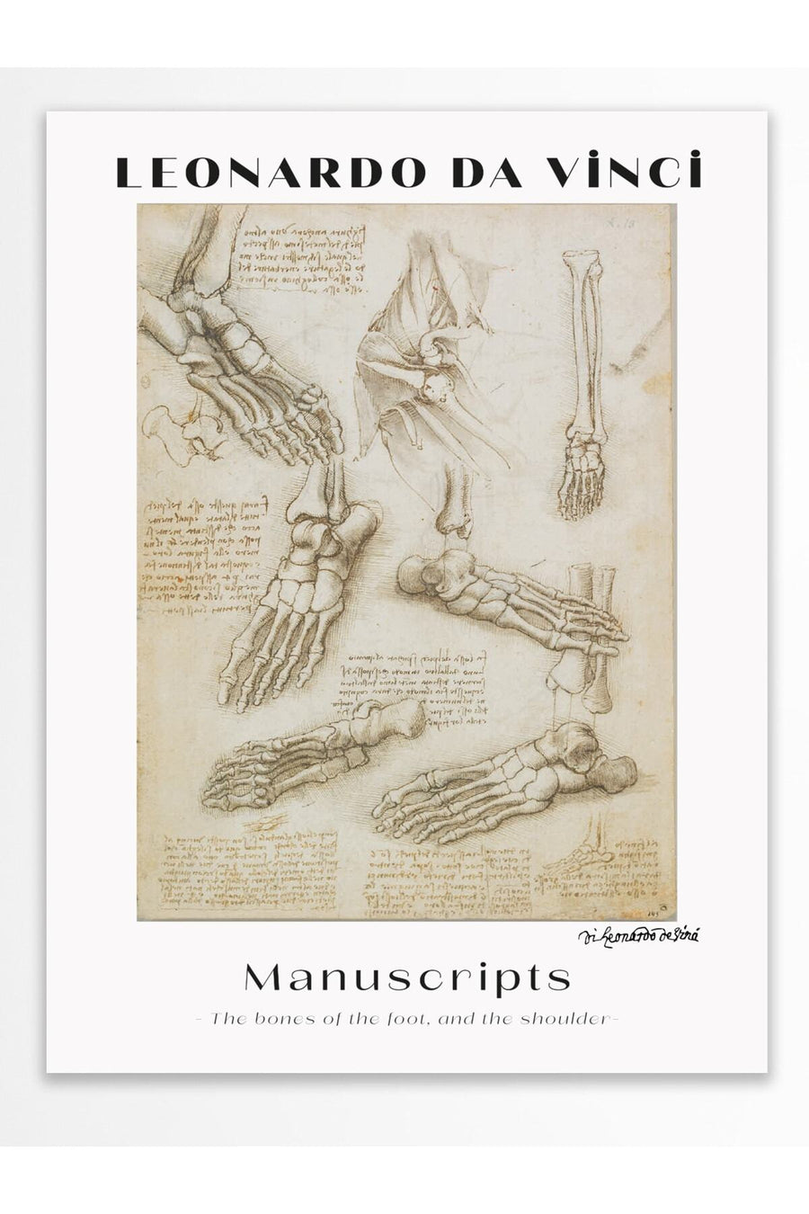 Farklı Tonlarda LEONARDO DA VINCI Modern Sanat Çerçevesiz Poster