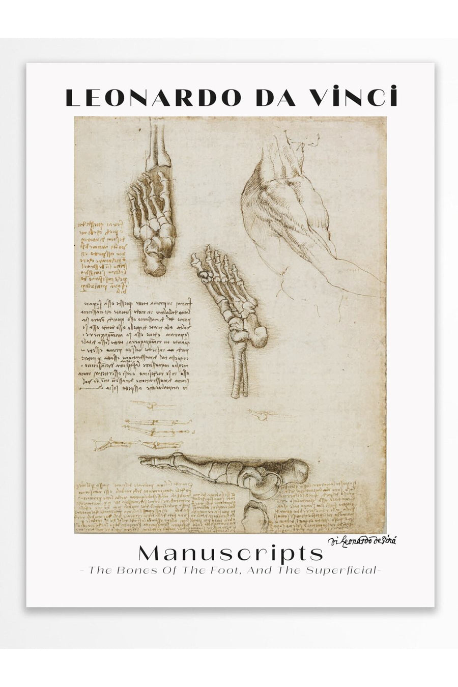 Farklı Tonlarda Leonardo da Vinci Manuscripts Modern Sanat Çerçevesiz Poster
