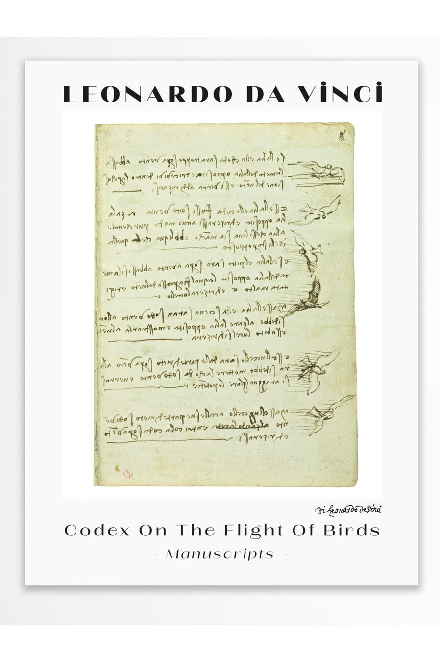 Codex On The Flight Of Birds Modern Sanat Çerçevesiz Poster