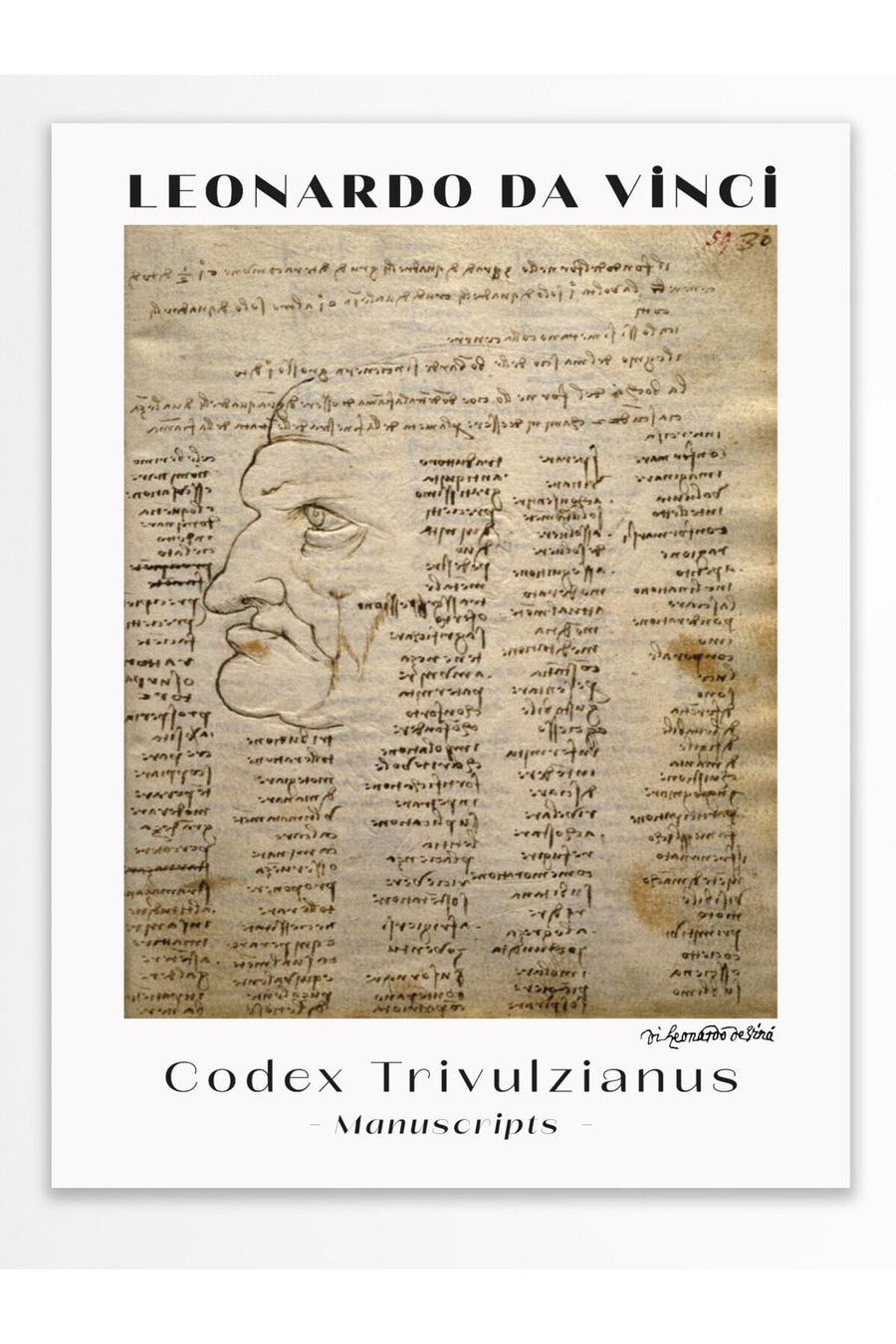 Farklı Tonlarda LEONARDO DA VINCI Modern Sanat Çerçevesiz Poster