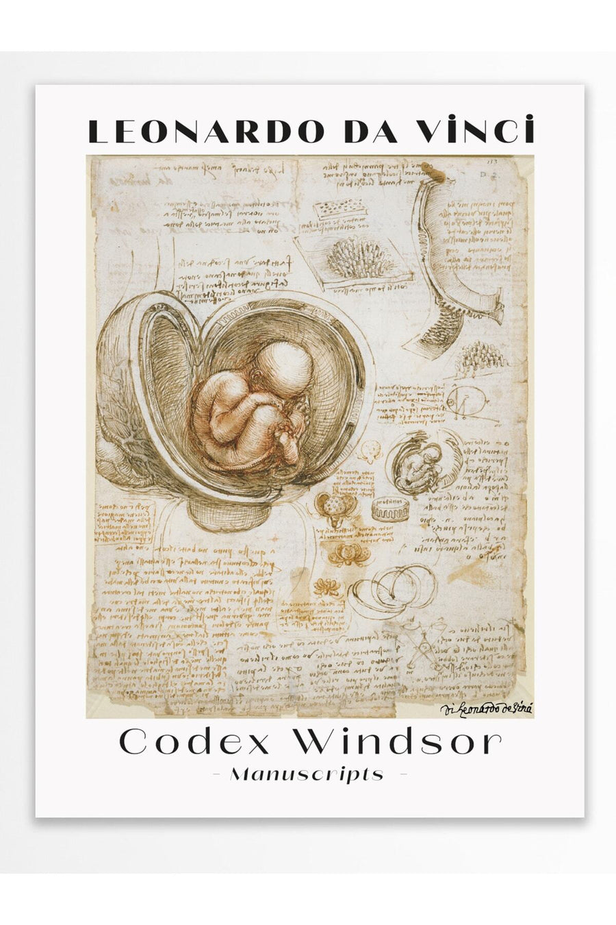 LEONARDO DA VINCI Codex Windsor Manuscripts Modern Sanat Çerçevesiz Poster
