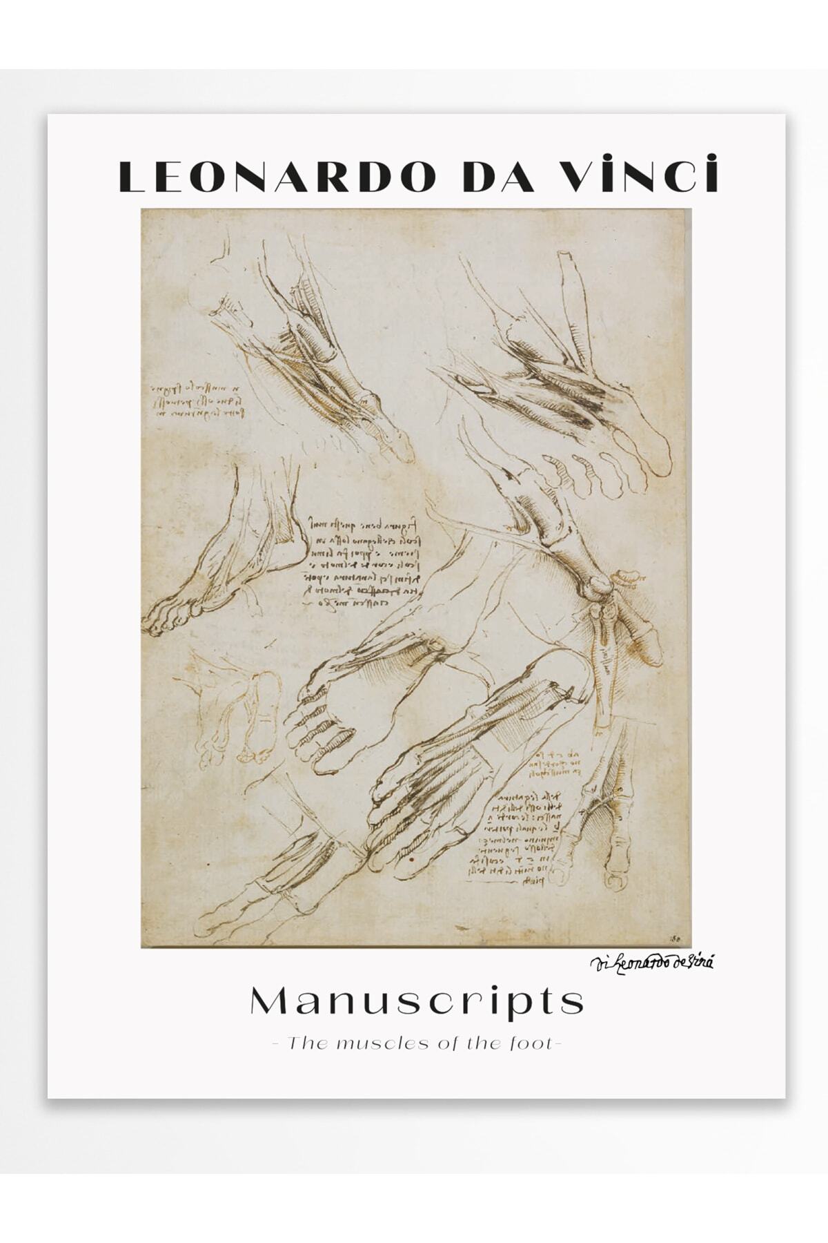 Leonardo Da Vinci Duvar Posteri - Duvar Dekoru - Sanat Serisi Posterleri - Kalın Kağıt - Çerçevesiz