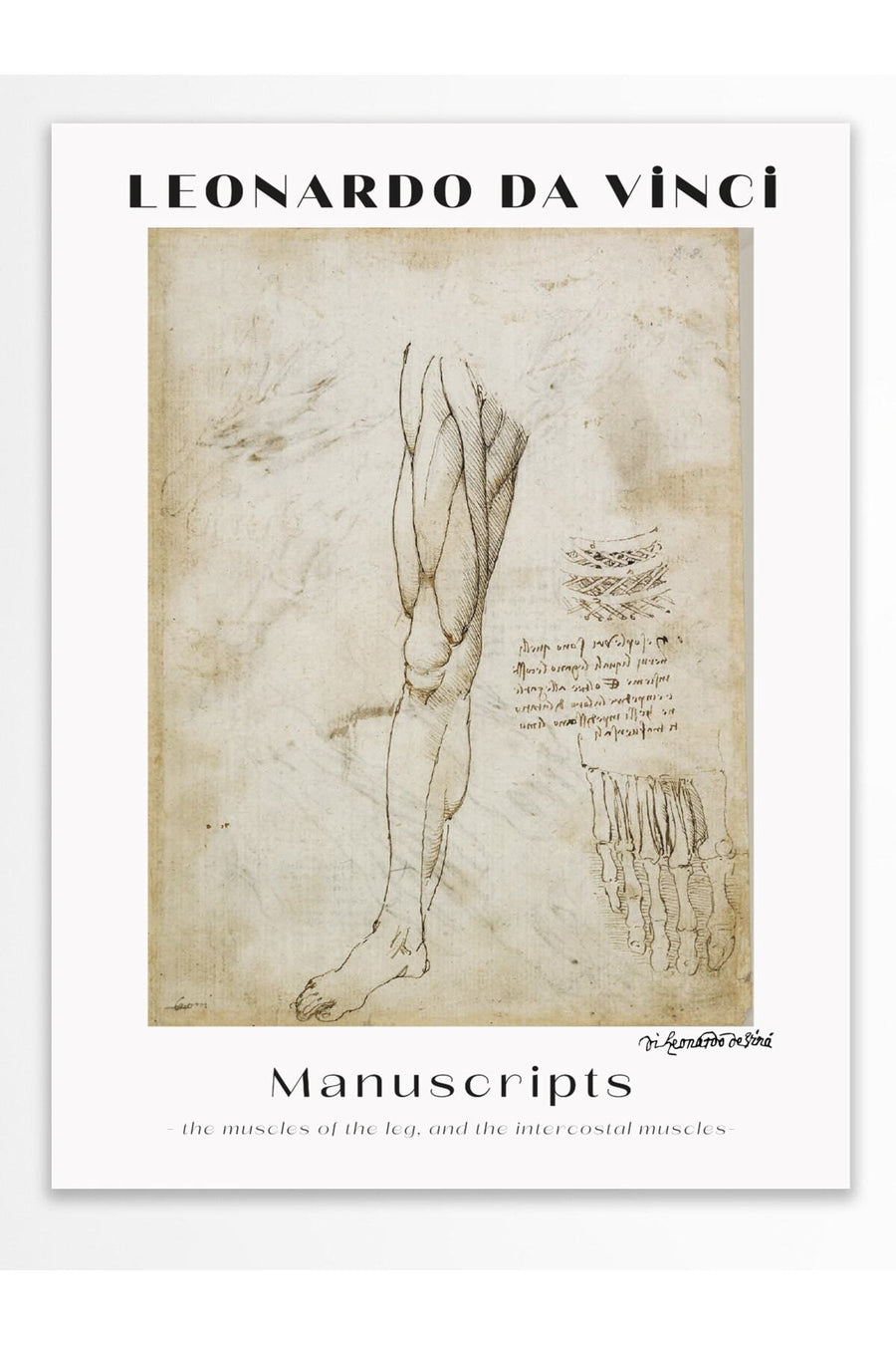 Farklı Tonlarda LEONARDO DA VINCI Manuscripts Modern Sanat Çerçevesiz Poster