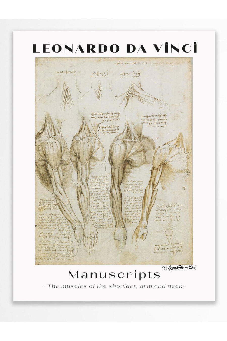 Farklı Tonlarda LEONARDO DA VINCI Modern Sanat Çerçevesiz Poster