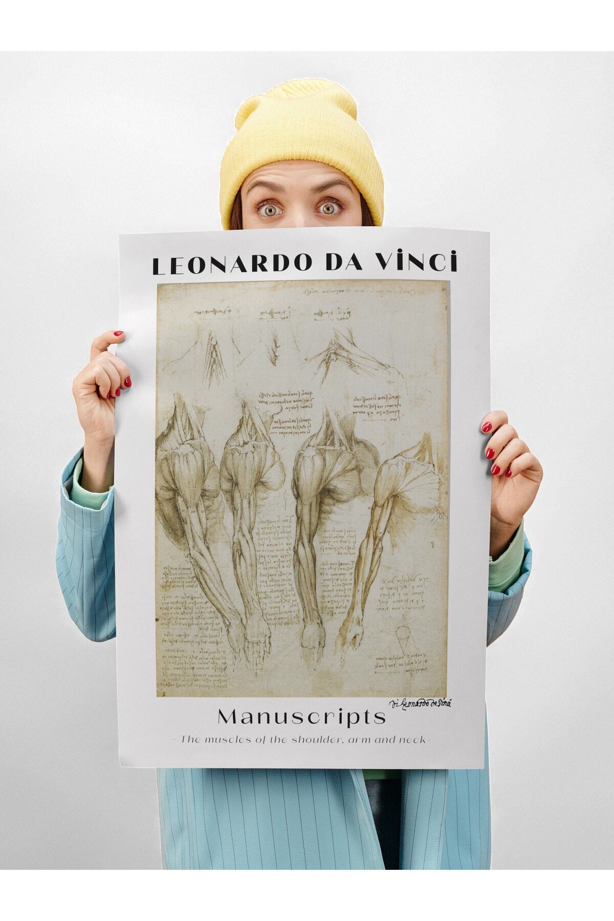 Leonardo Da Vinci Duvar Posteri - Duvar Dekoru - Sanat Serisi Posterleri - Kalın Kağıt - Çerçevesiz