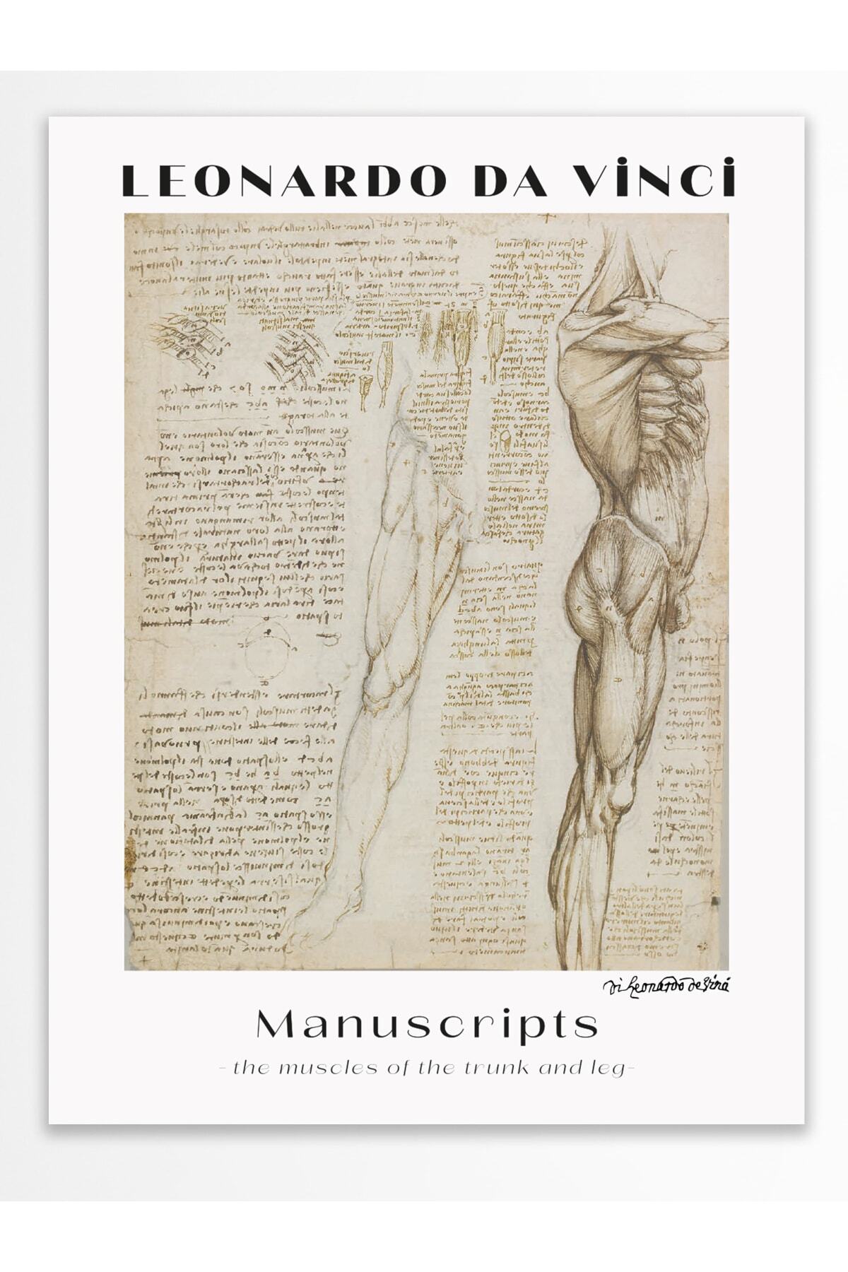 Leonardo Da Vinci Duvar Posteri - Duvar Dekoru - Sanat Serisi Posterleri - Kalın Kağıt - Çerçevesiz