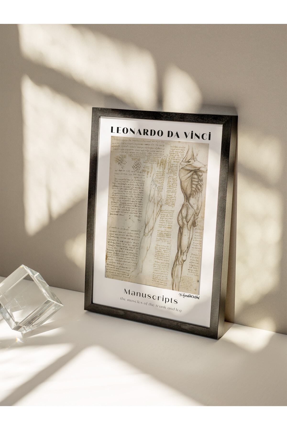 Leonardo Da Vinci Duvar Posteri - Duvar Dekoru - Sanat Serisi Posterleri - Kalın Kağıt - Çerçevesiz
