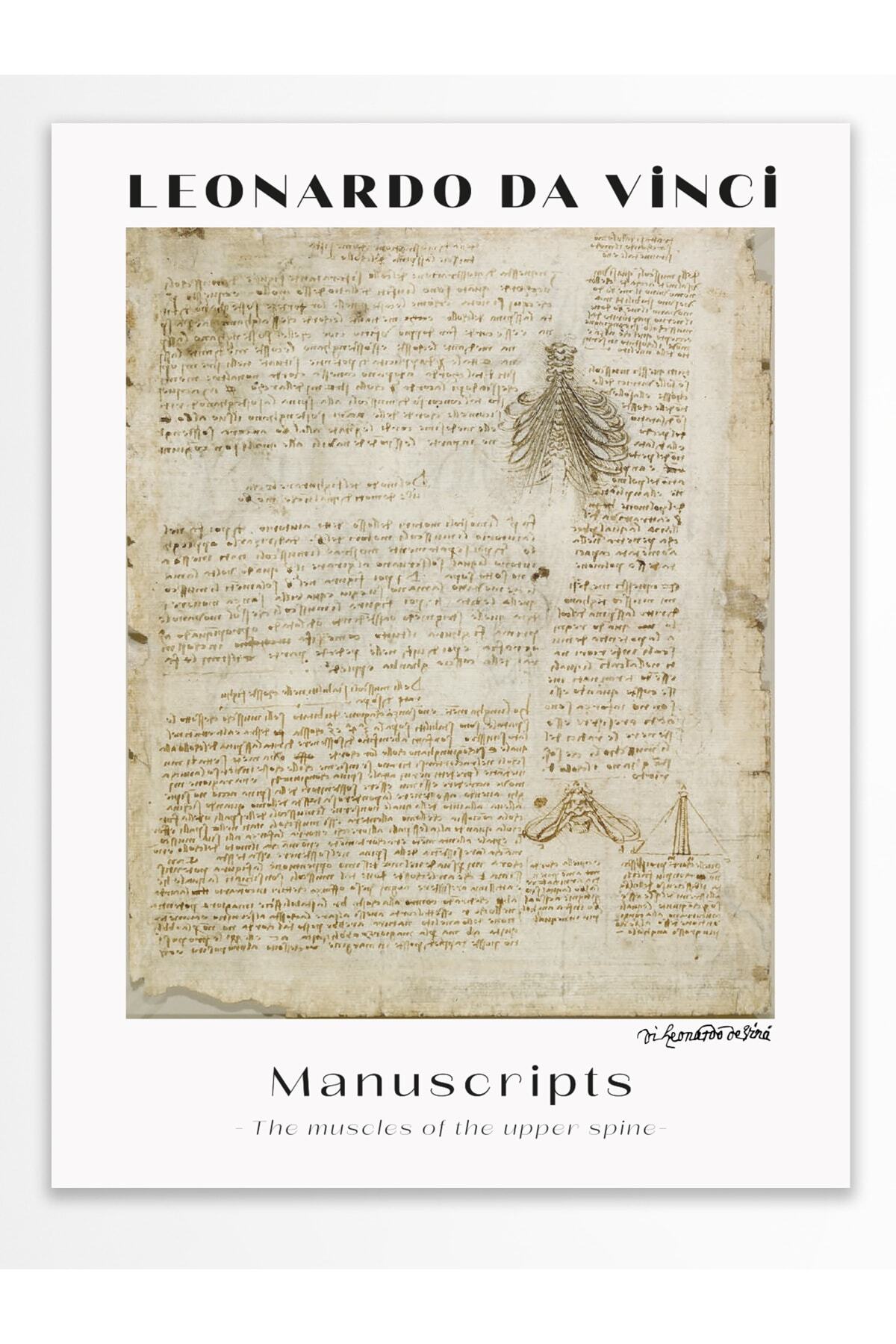 Leonardo Da Vinci Duvar Posteri - Duvar Dekoru - Sanat Serisi Posterleri - Kalın Kağıt - Çerçevesiz