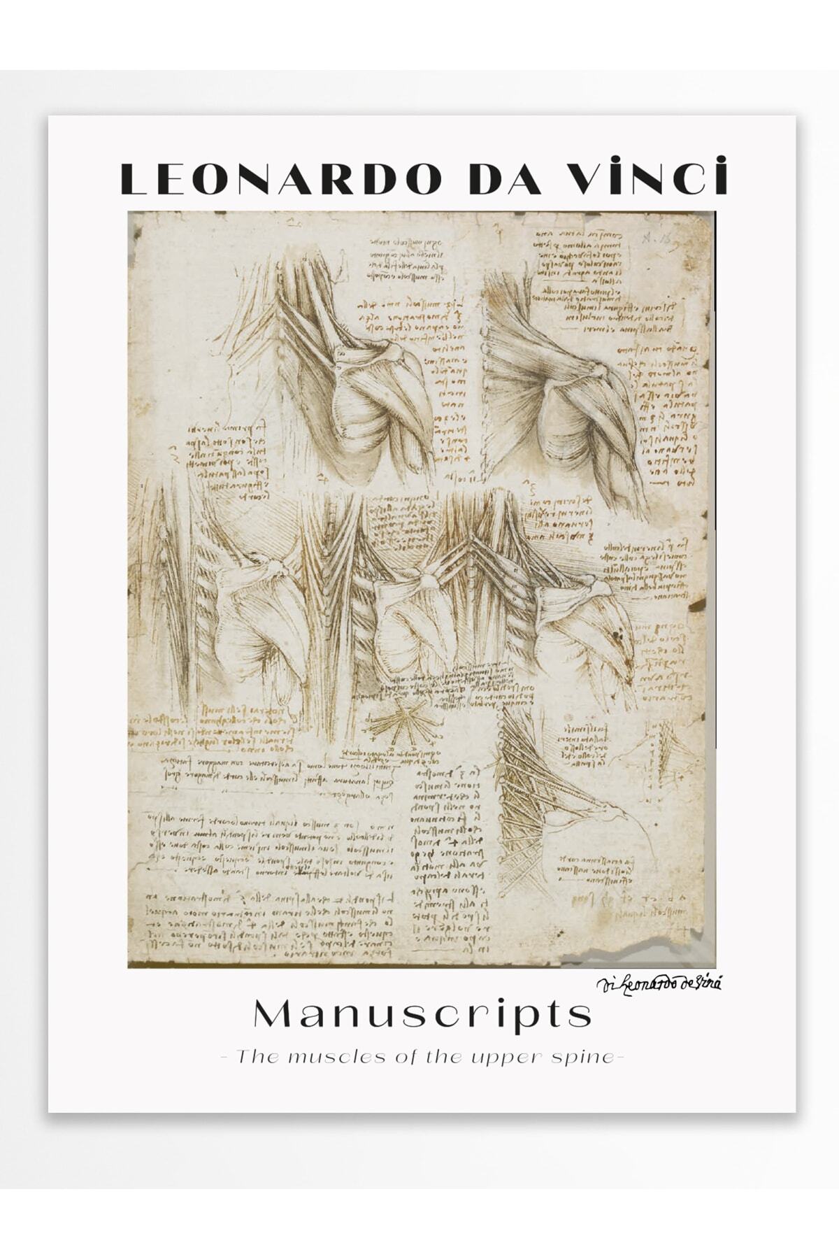 Leonardo Da Vinci Duvar Posteri - Duvar Dekoru - Sanat Serisi Posterleri - Kalın Kağıt - Çerçevesiz