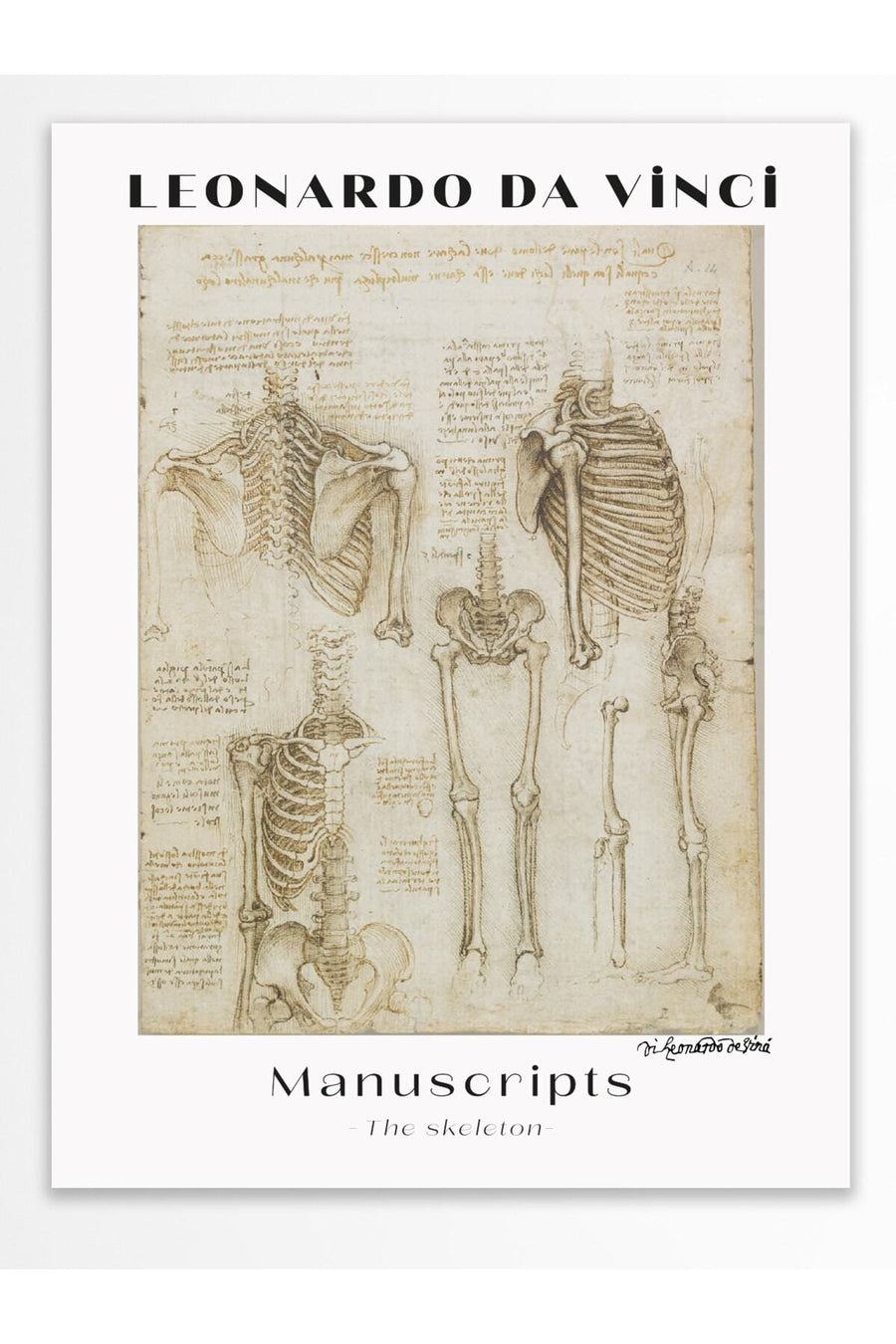 Leonardo da Vinci Manuscripts - The skeleton Modern Sanat Çerçevesiz Poster