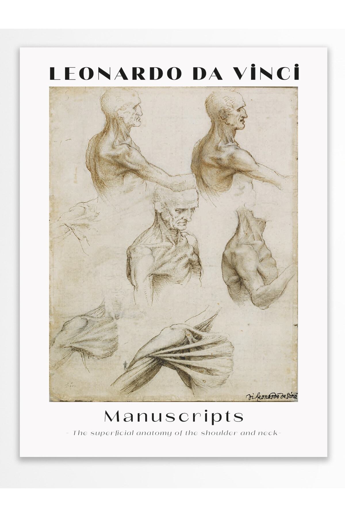 Leonardo Da Vinci Duvar Posteri - Duvar Dekoru - Sanat Serisi Posterleri - Kalın Kağıt - Çerçevesiz