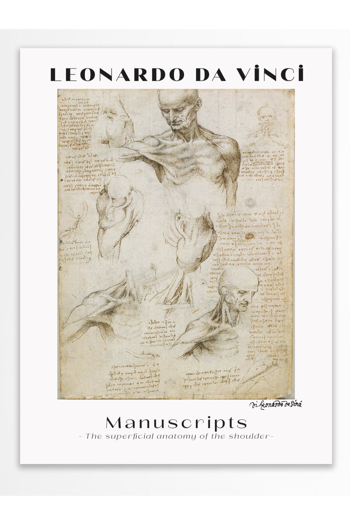 Leonardo Da Vinci Duvar Posteri - Duvar Dekoru - Sanat Serisi Posterleri - Kalın Kağıt - Çerçevesiz