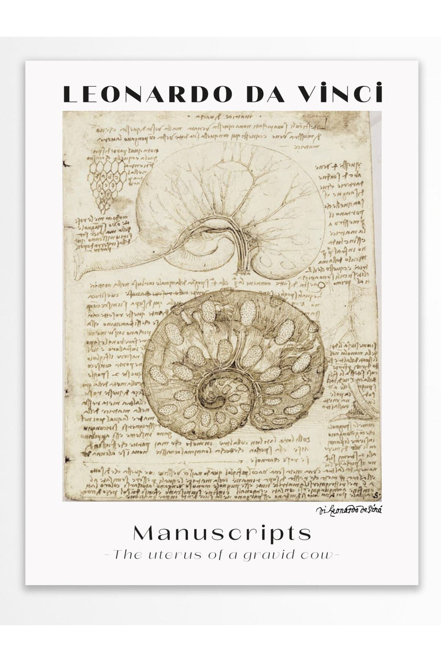 Farklı Tonlarda LEONARDO DA VINCI Modern Sanat Çerçevesiz Poster