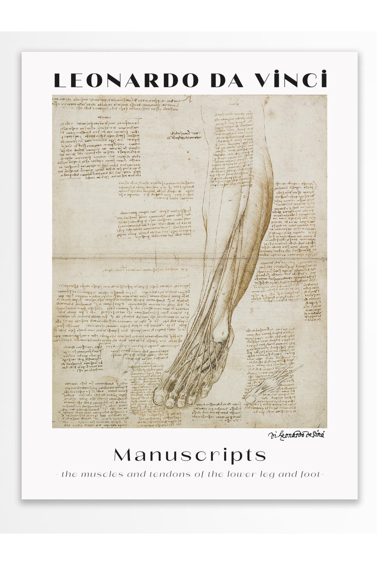 Leonardo Da Vinci Duvar Posteri - Duvar Dekoru - Sanat Serisi Posterleri - Kalın Kağıt - Çerçevesiz