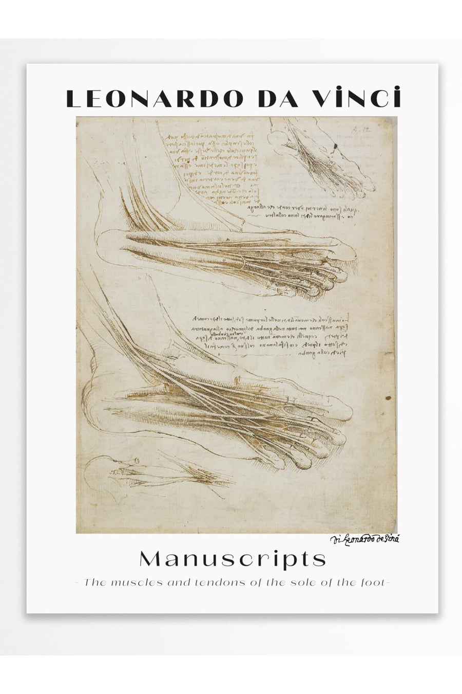 LEONARDO DA VINCI Manuscripts - The muscles and tendons of the sole of the foot - Modern Sanat Çerçevesiz Poster