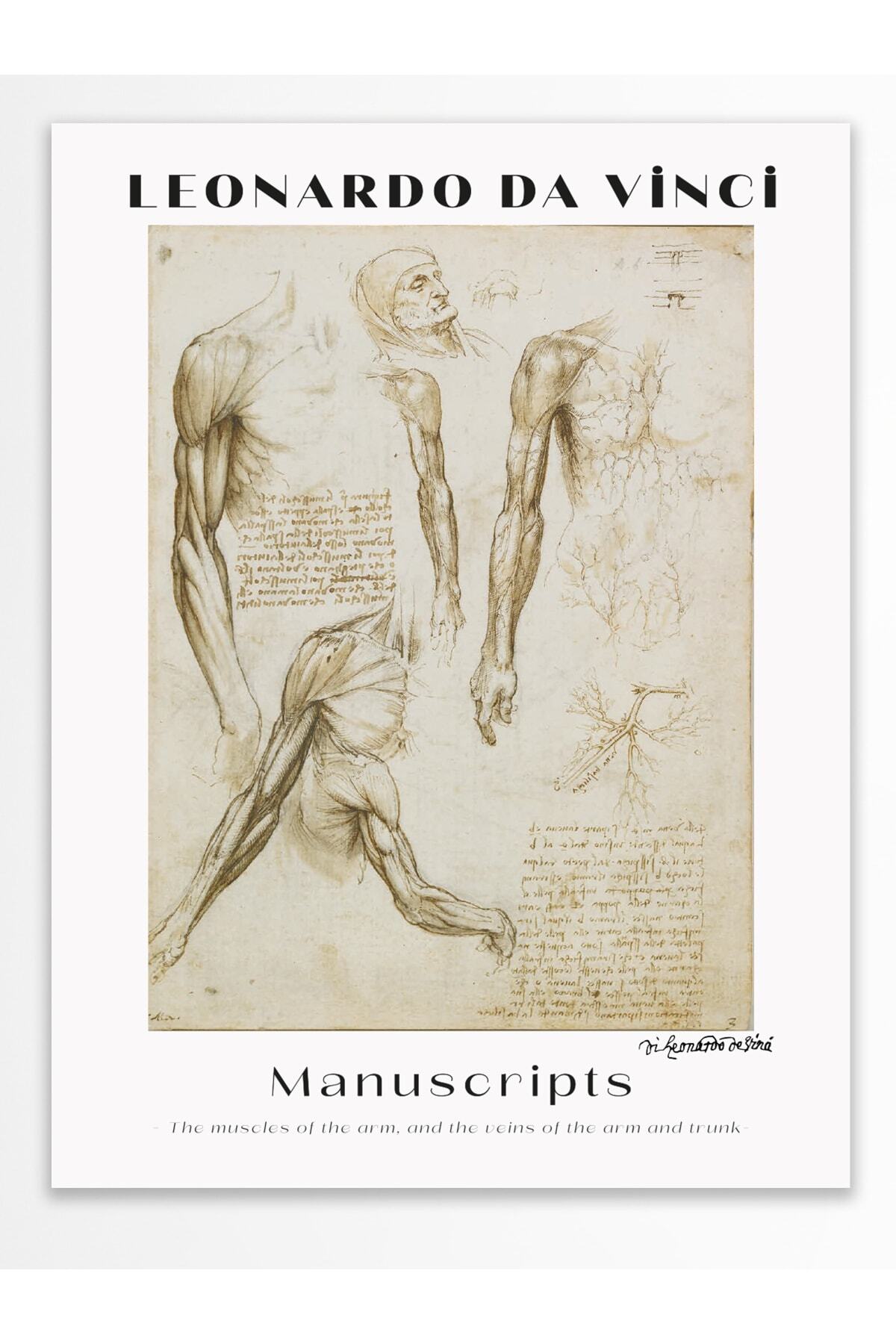 Leonardo Da Vinci Duvar Posteri - Duvar Dekoru - Sanat Serisi Posterleri - Kalın Kağıt - Çerçevesiz