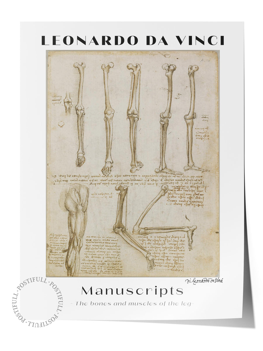 Farklı Tonlarda LEONARDO DA VINCI Modern Sanat Çerçevesiz Poster