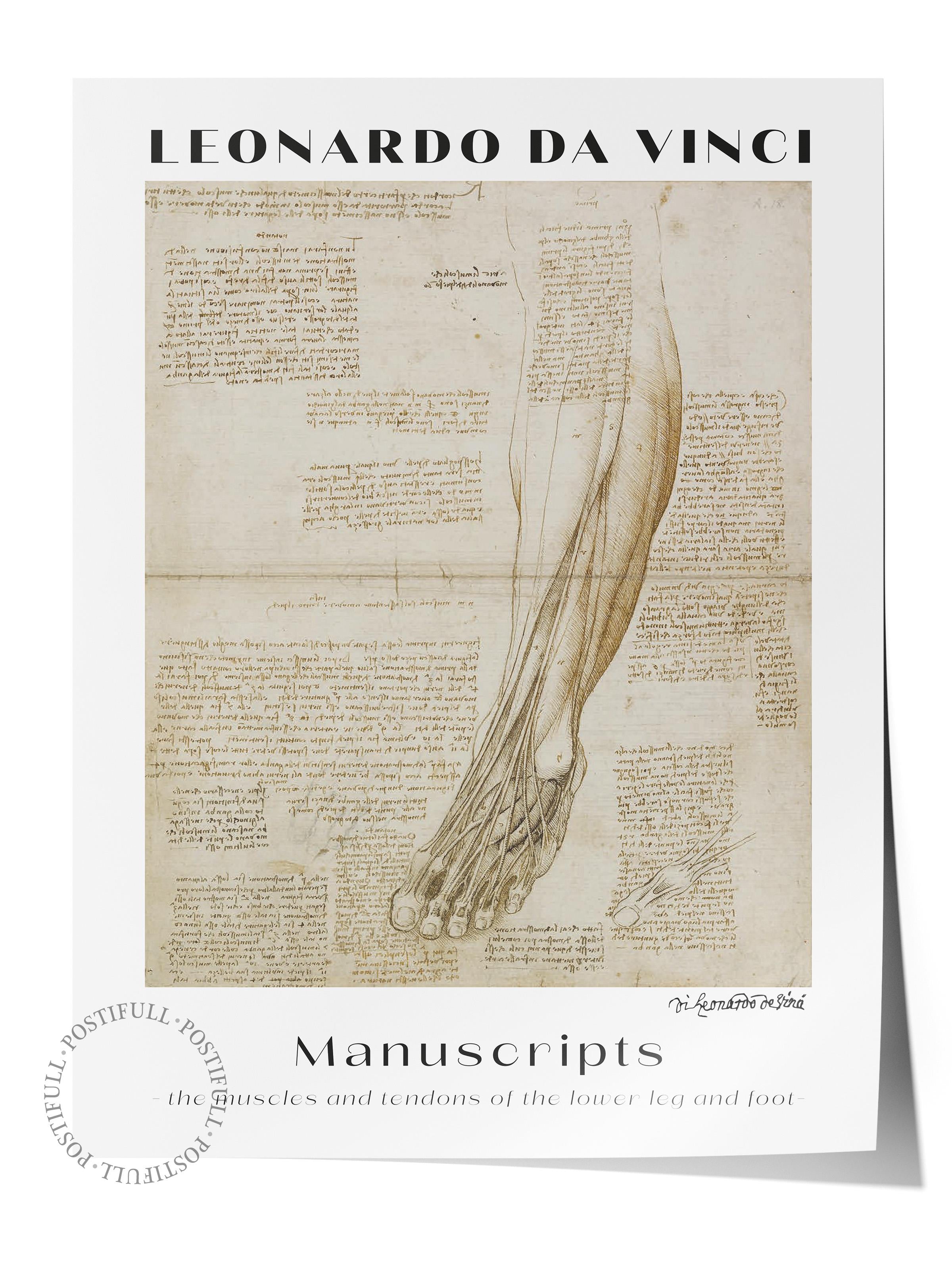 Leonardo Da Vinci Duvar Posteri - Duvar Dekoru - Sanat Serisi Posterleri - Kalın Kağıt - Çerçevesiz