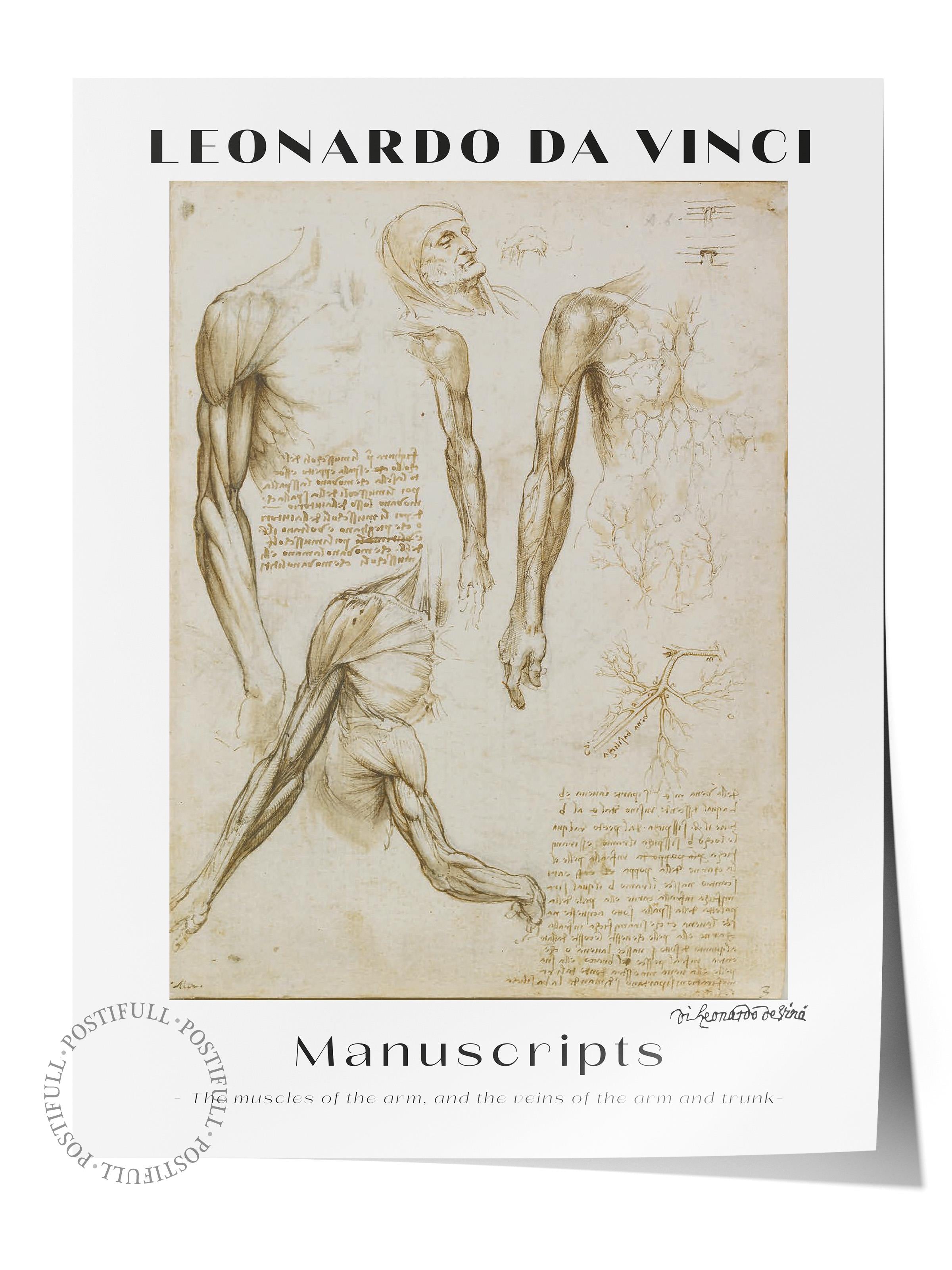 Leonardo Da Vinci Duvar Posteri - Duvar Dekoru - Sanat Serisi Posterleri - Kalın Kağıt - Çerçevesiz