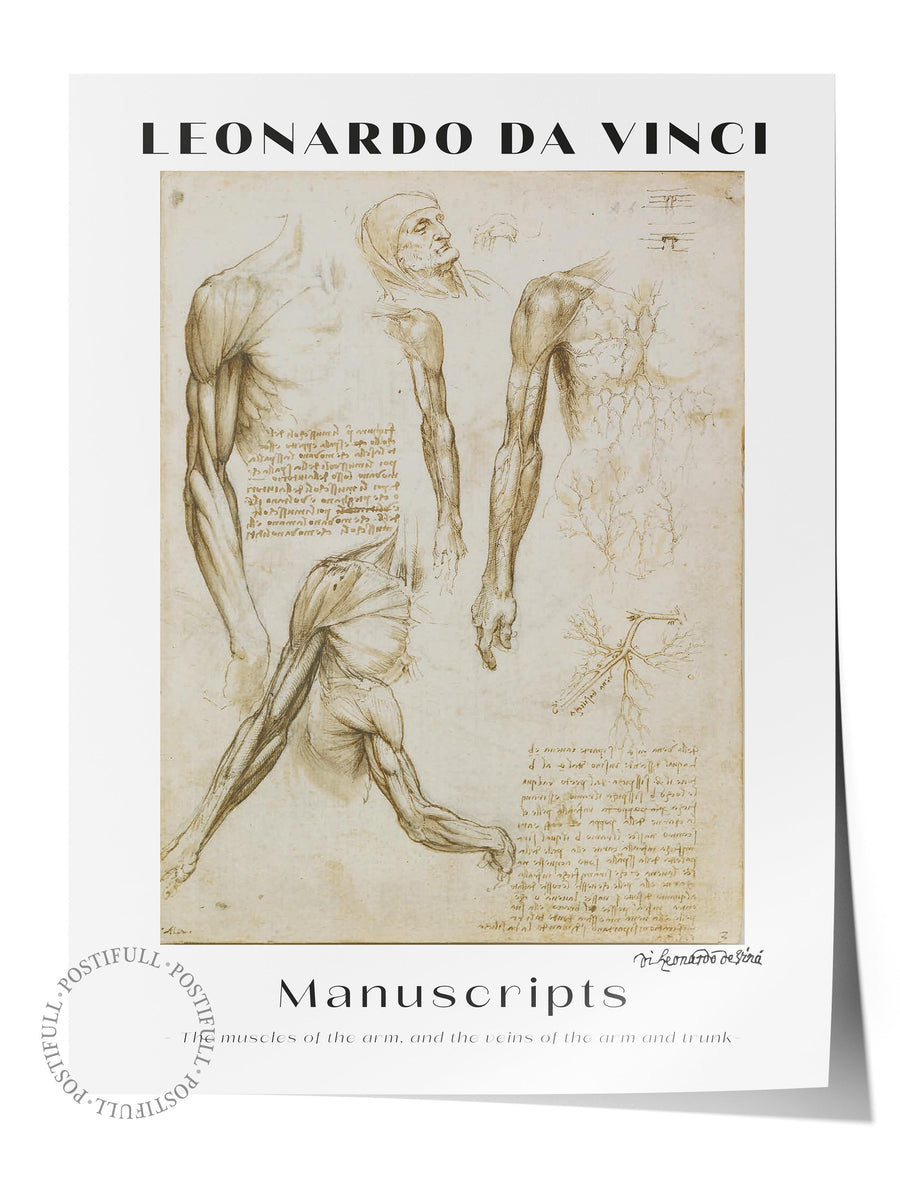 Farklı Tonlarda Leonardo da Vinci Manuscripts Modern Sanat Çerçevesiz Poster