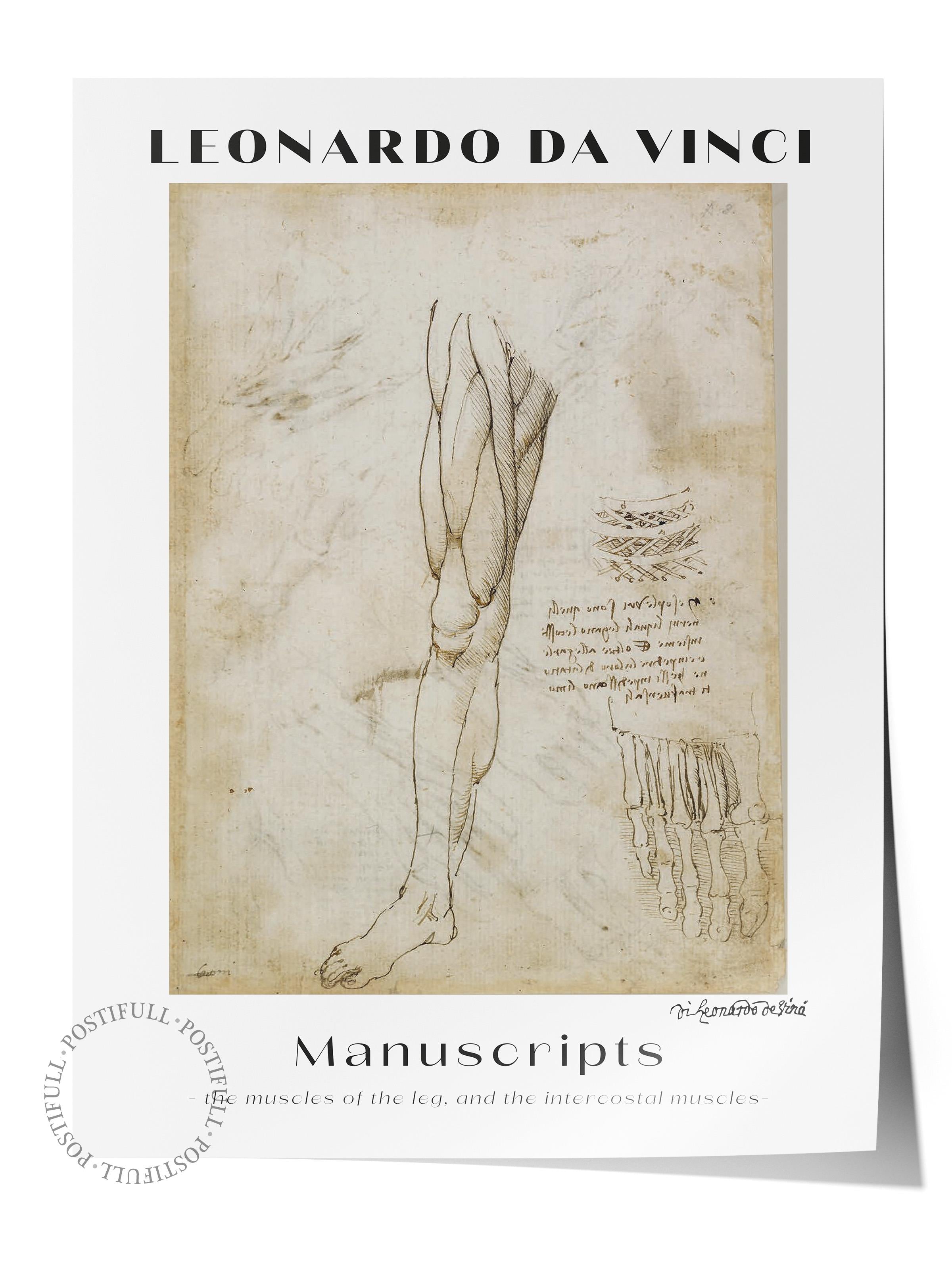 Leonardo Da Vinci Duvar Posteri - Duvar Dekoru - Sanat Serisi Posterleri - Kalın Kağıt - Çerçevesiz