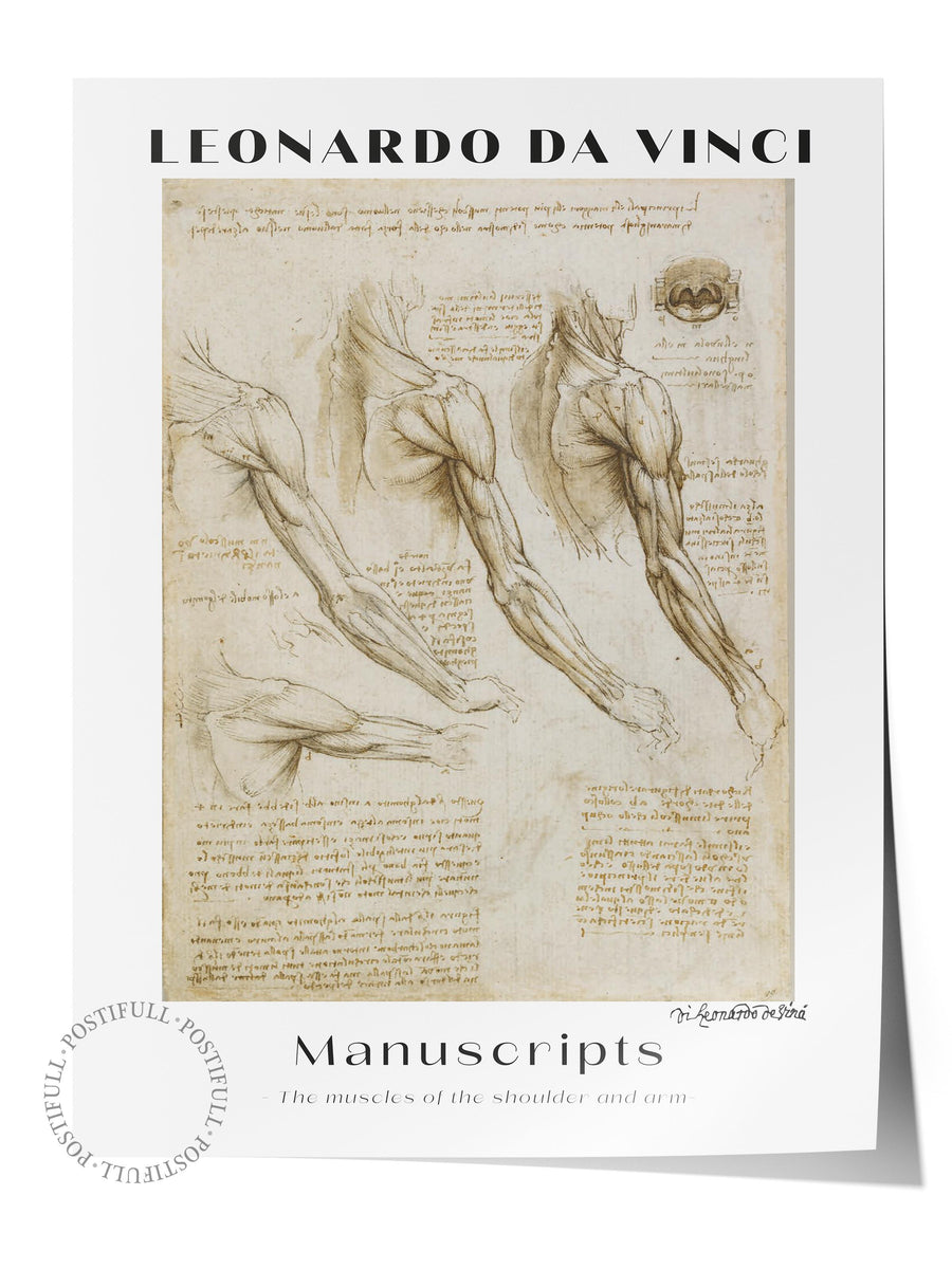 Farklı Tonlarda LEONARDO DA VINCI Manuscripts Modern Sanat Çerçevesiz Poster