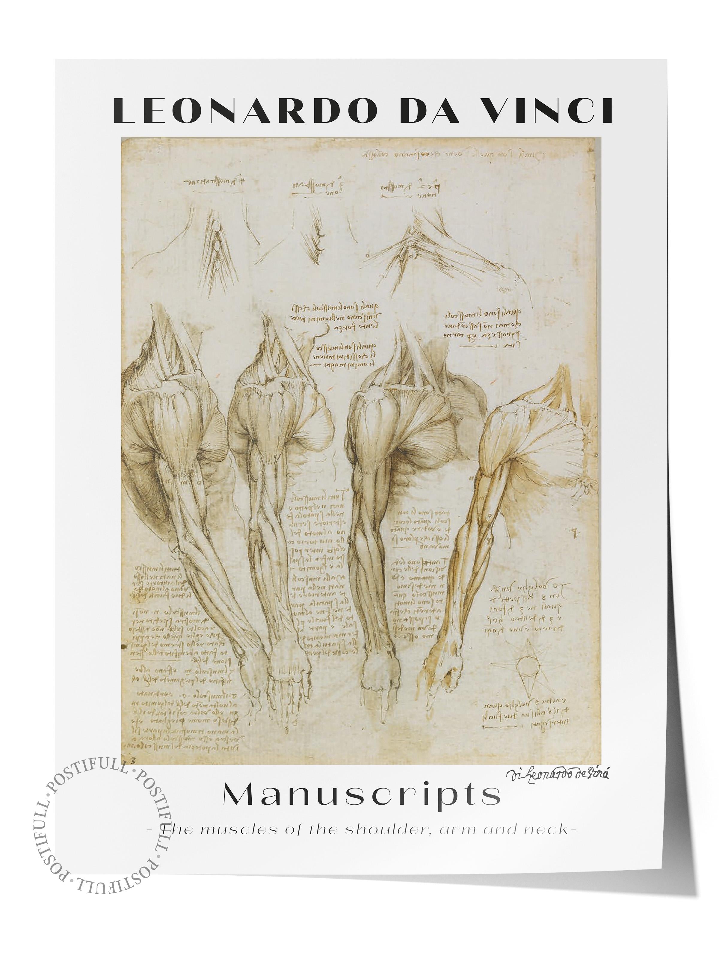 Leonardo Da Vinci Duvar Posteri - Duvar Dekoru - Sanat Serisi Posterleri - Kalın Kağıt - Çerçevesiz