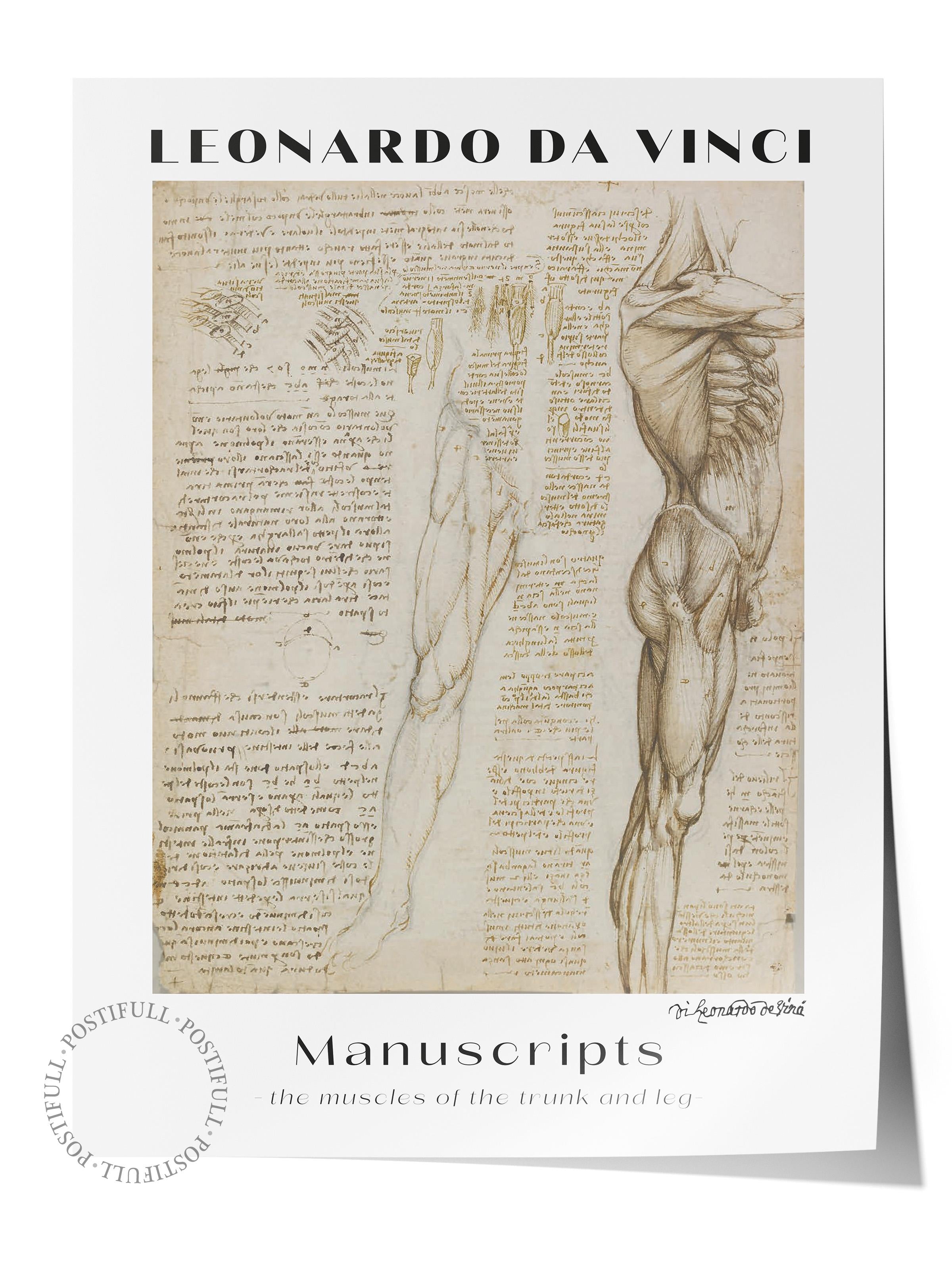 Leonardo Da Vinci Duvar Posteri - Duvar Dekoru - Sanat Serisi Posterleri - Kalın Kağıt - Çerçevesiz