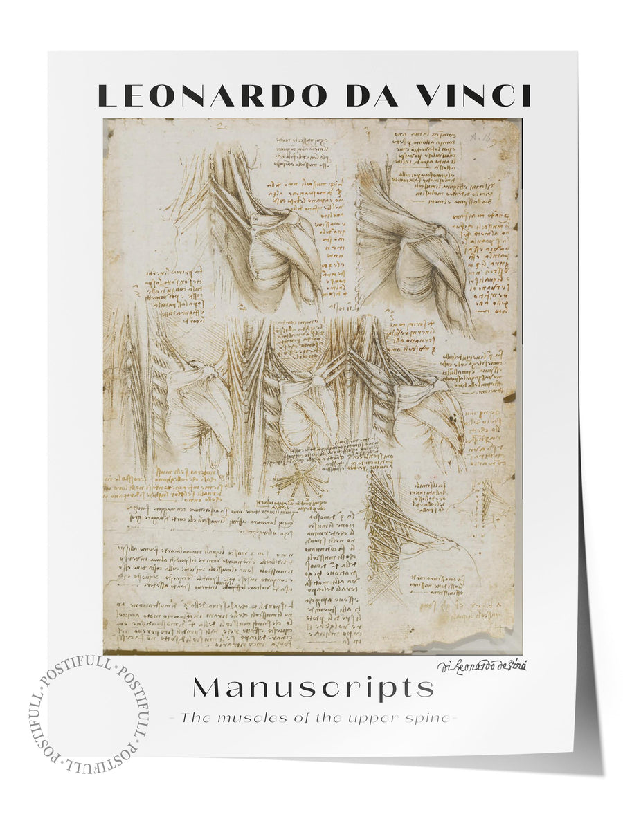Farklı Tonlarda LEONARDO DA VINCI Modern Sanat Çerçevesiz Poster
