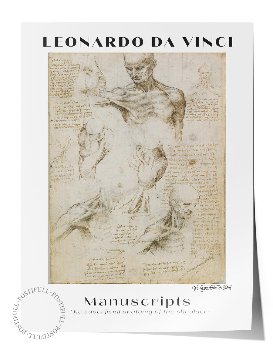 Farklı Tonlarda LEONARDO DA VINCI Modern Sanat Çerçevesiz Poster