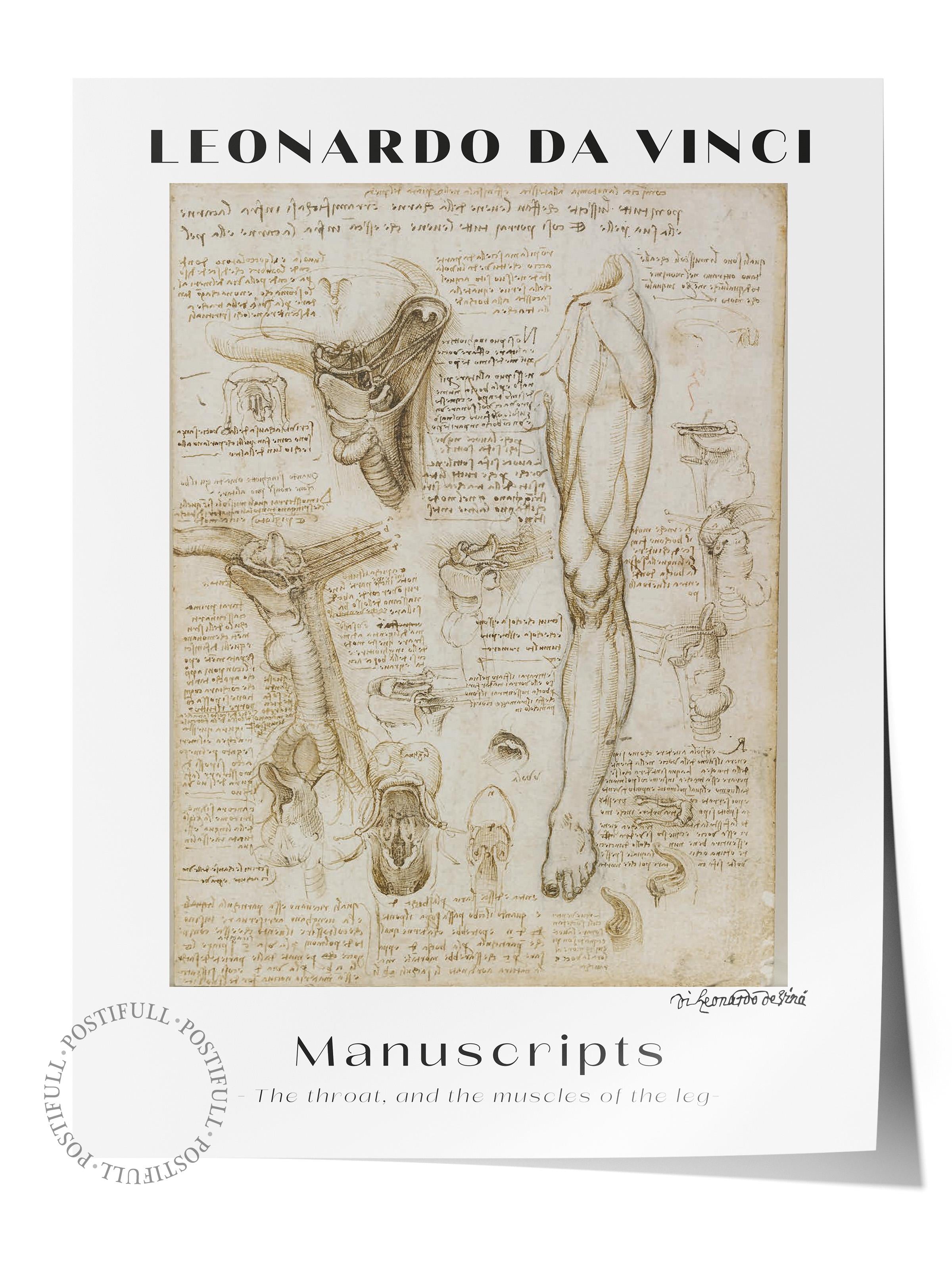Leonardo Da Vinci Duvar Posteri - Duvar Dekoru - Sanat Serisi Posterleri - Kalın Kağıt - Çerçevesiz