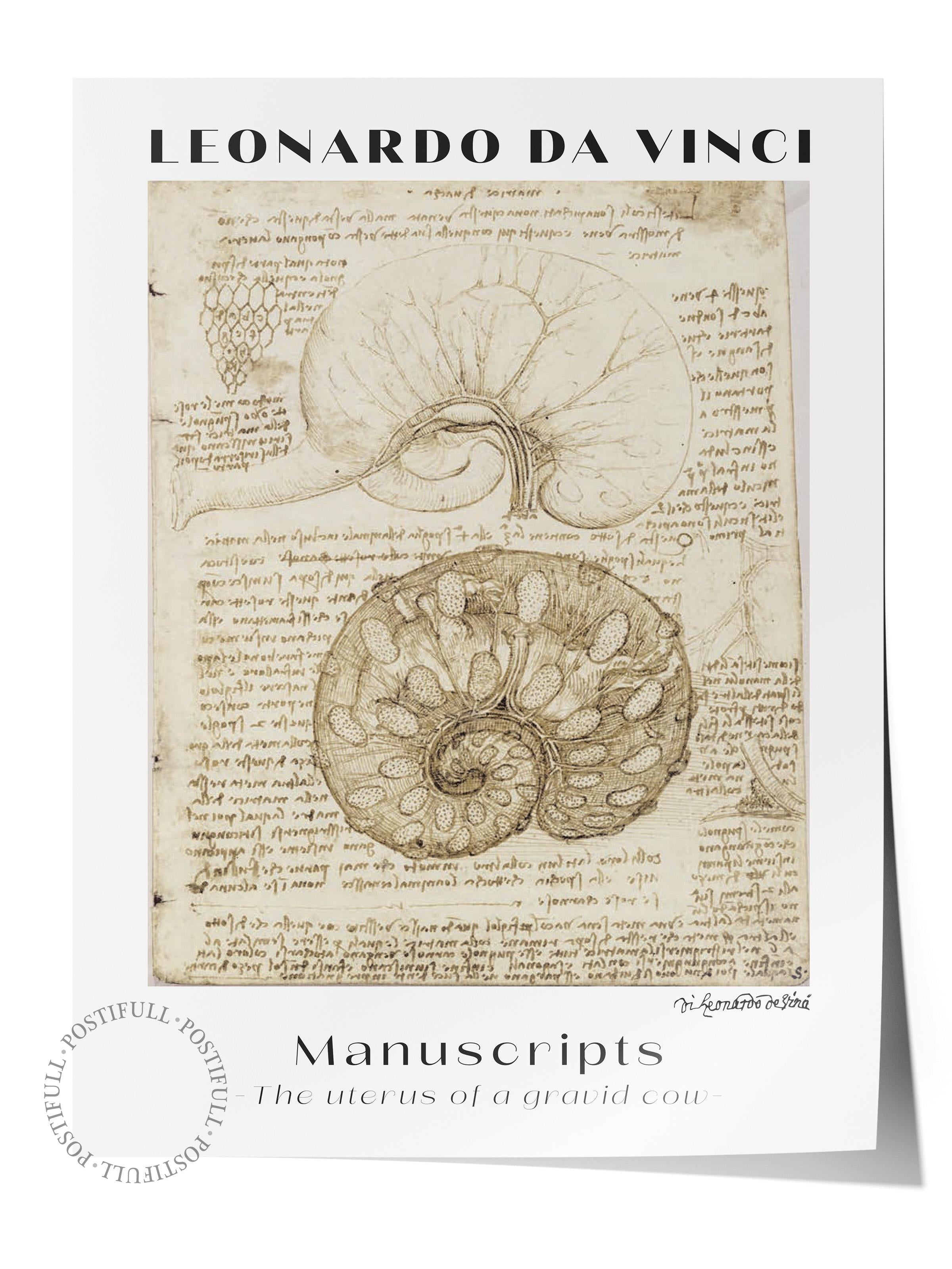 Leonardo Da Vinci Duvar Posteri - Duvar Dekoru - Sanat Serisi Posterleri - Kalın Kağıt - Çerçevesiz