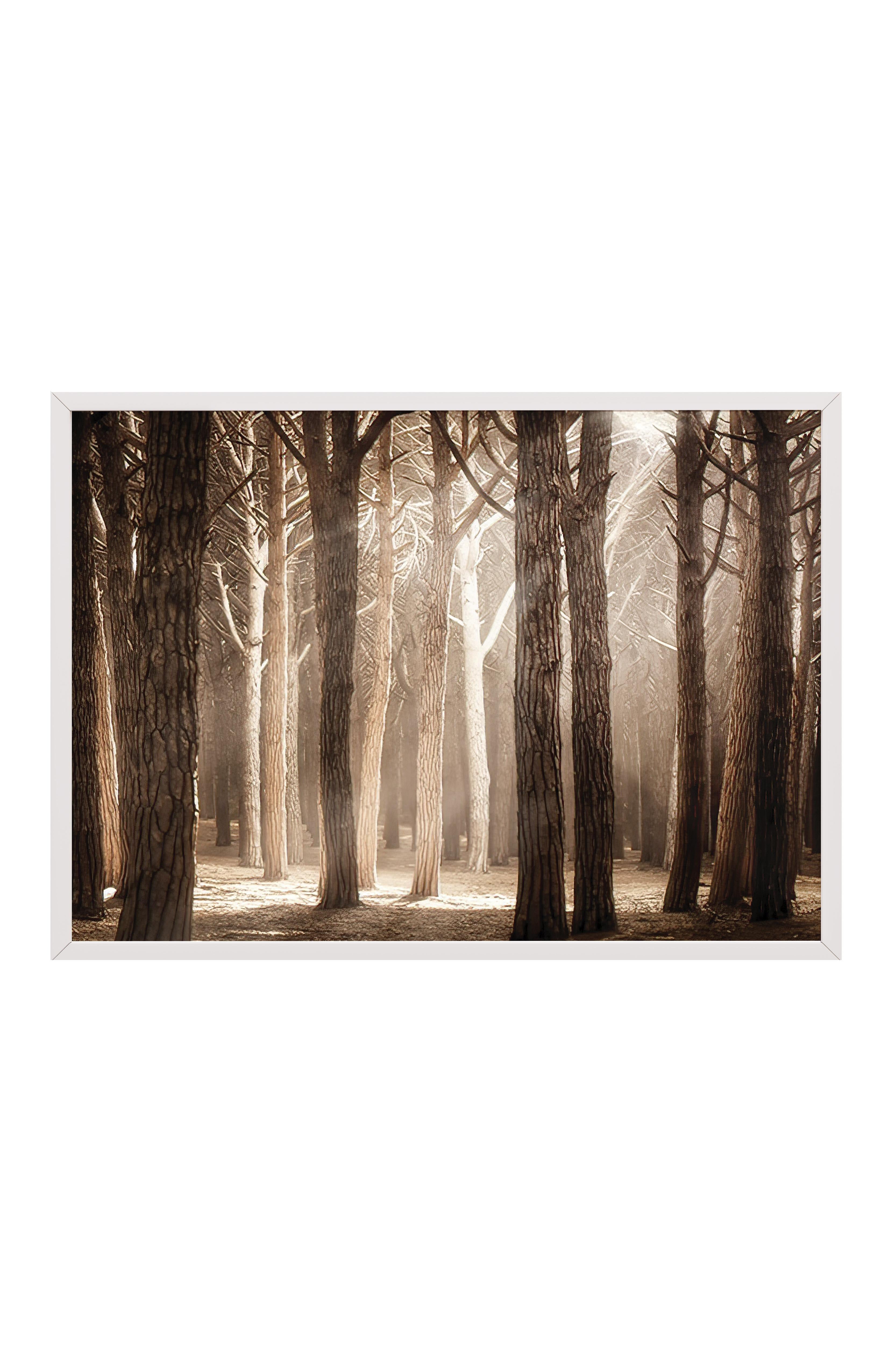 Magical Forest Sunlight Beyaz Çerçeveli Tablo, Yatay Duvar Tablosu Comfort Serisi NO:108355