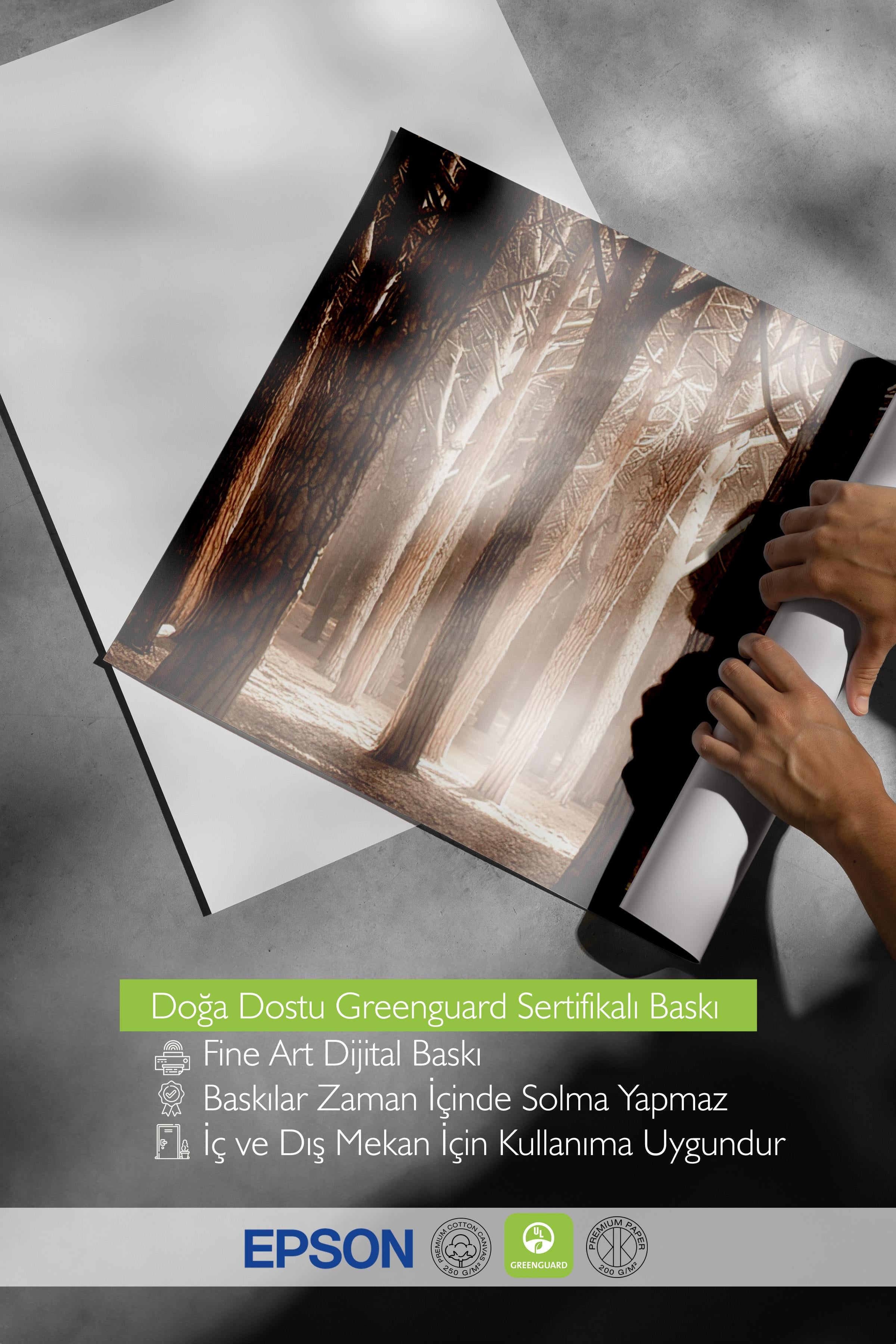 Magical Forest Sunlight Poster, Yatay Duvar Tablosu Comfort Serisi NO:108355