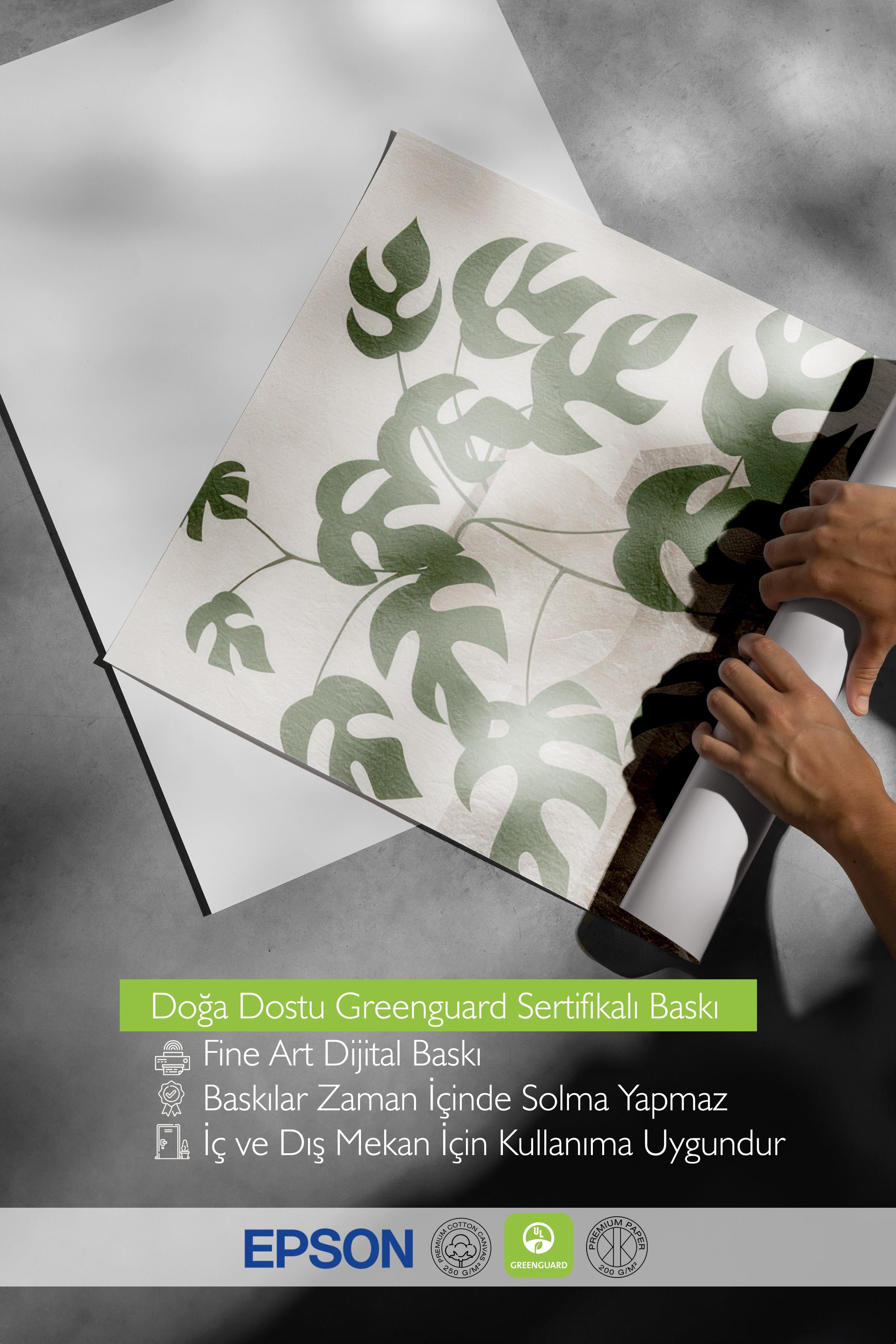 Monstera Illustration Poster, Dikey Duvar Tablosu Comfort Serisi NO:108547