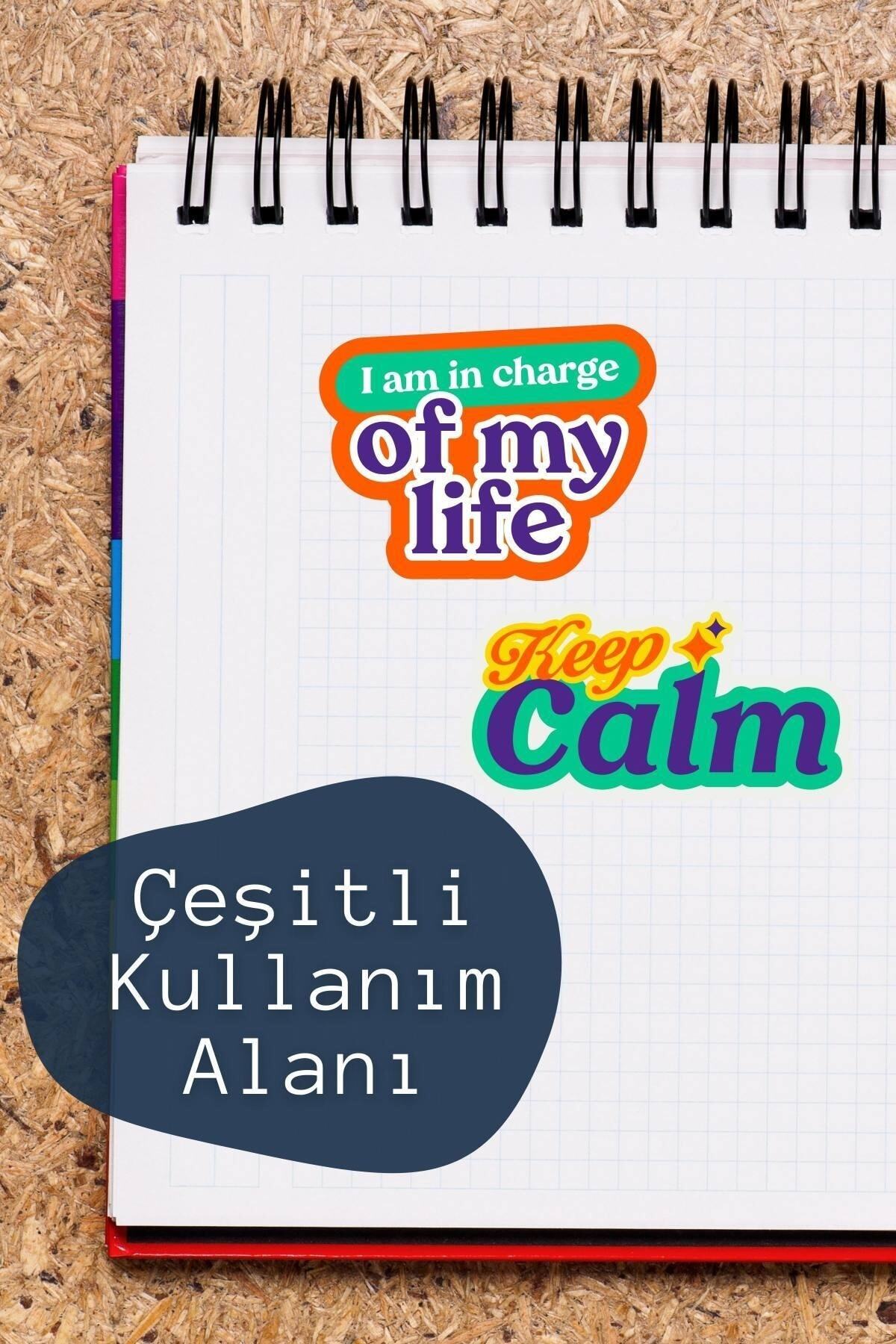 Motivasyon Temalı Sticker Seti - 8 Adet Etiket Seti- Telefon, Tablet, Defter Laptop Uyumlu Etiket