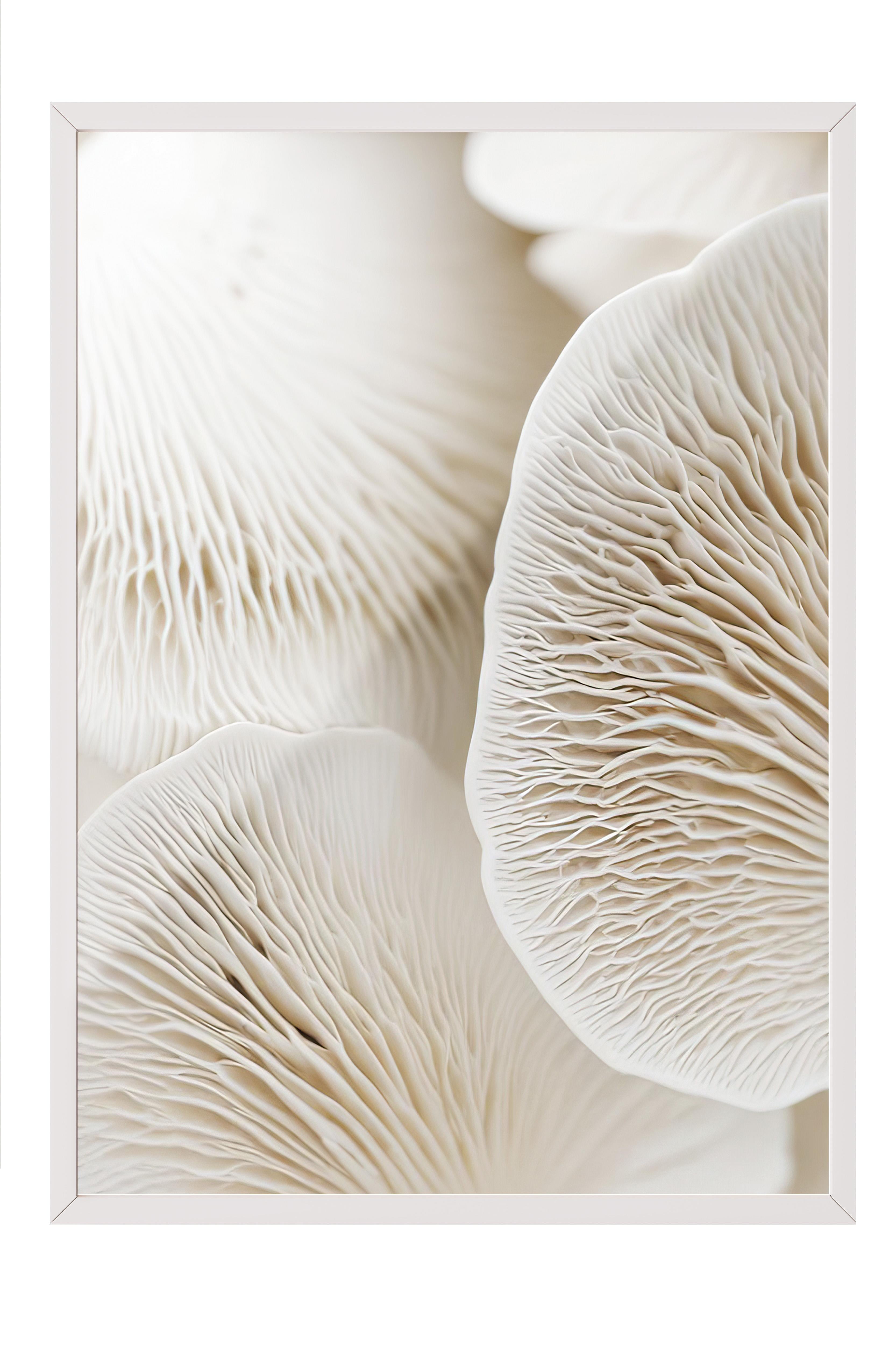 Mushroom Dream  Çerçeveli Tablo, Beyaz Çerçeve ve Poster, Duvar Tablosu Comfort Serisi NO:108343