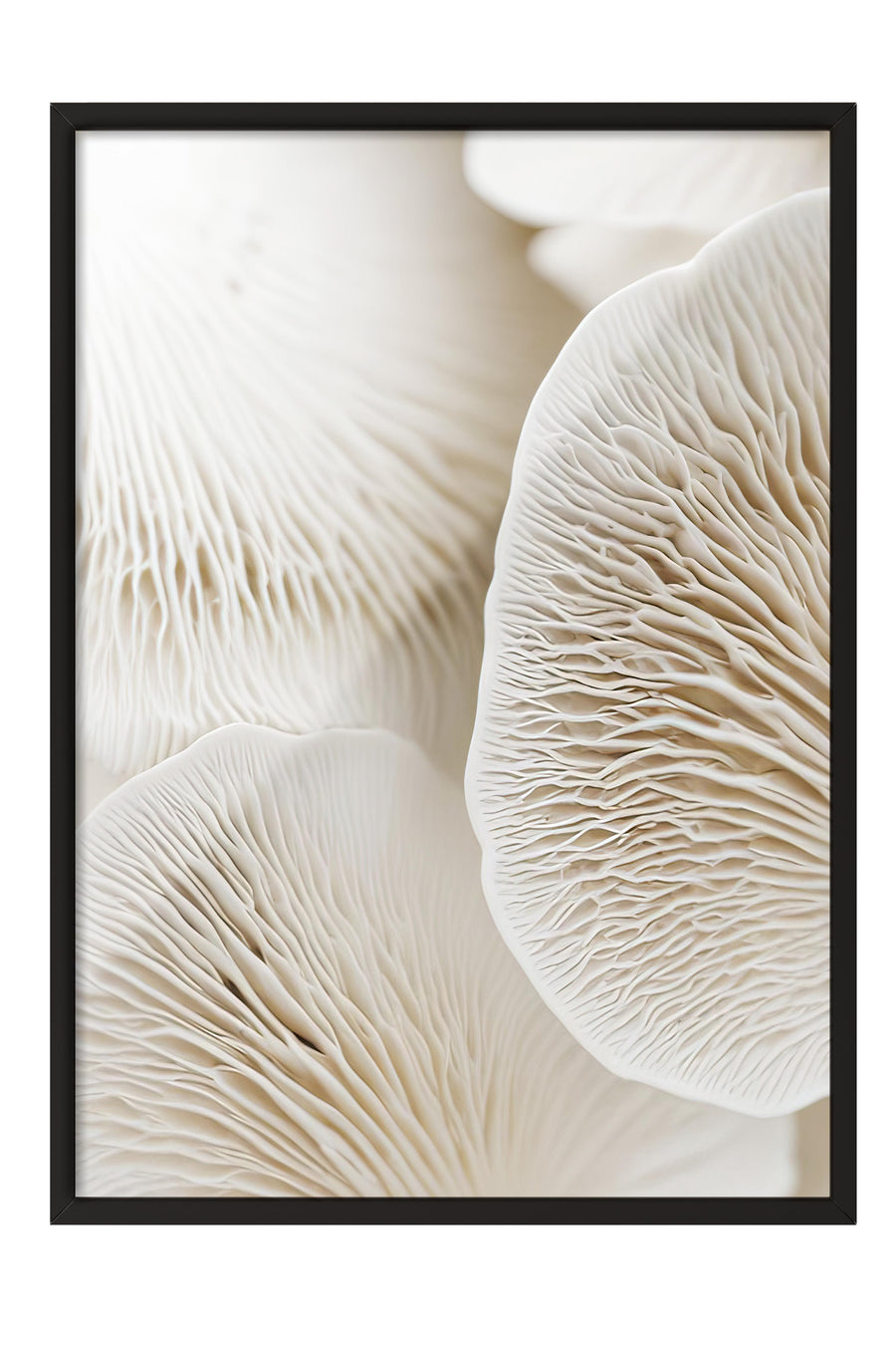 Mantar Solungaçları Makro Detayı Comfort Serisi Poster – Siyah Çerçeveli Tablo