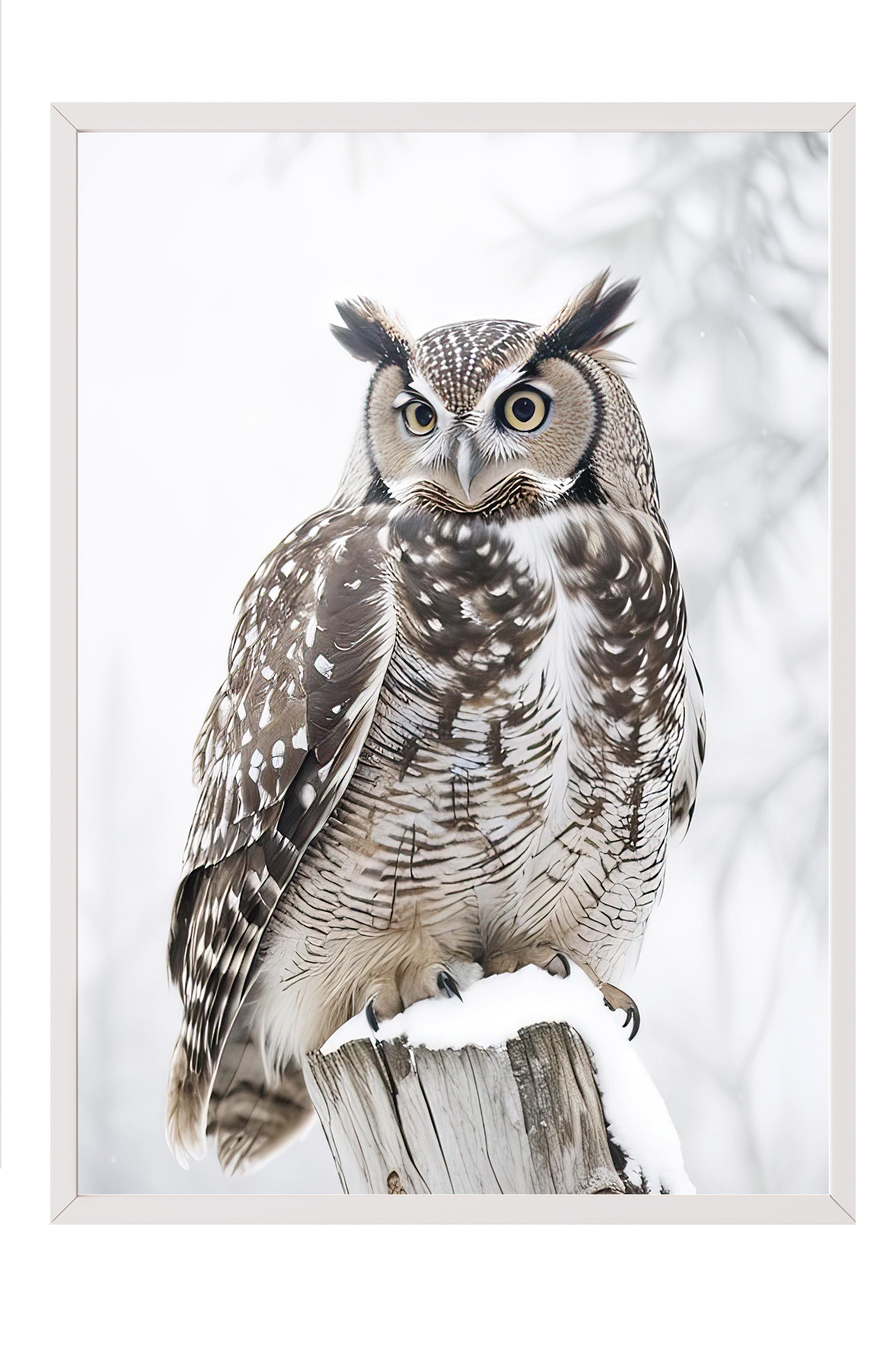 Owl in Snowfall Yılbaşı Tablo, Beyaz Çerçeve ve Poster, Duvar Tablosu Comfort Serisi NO:108413