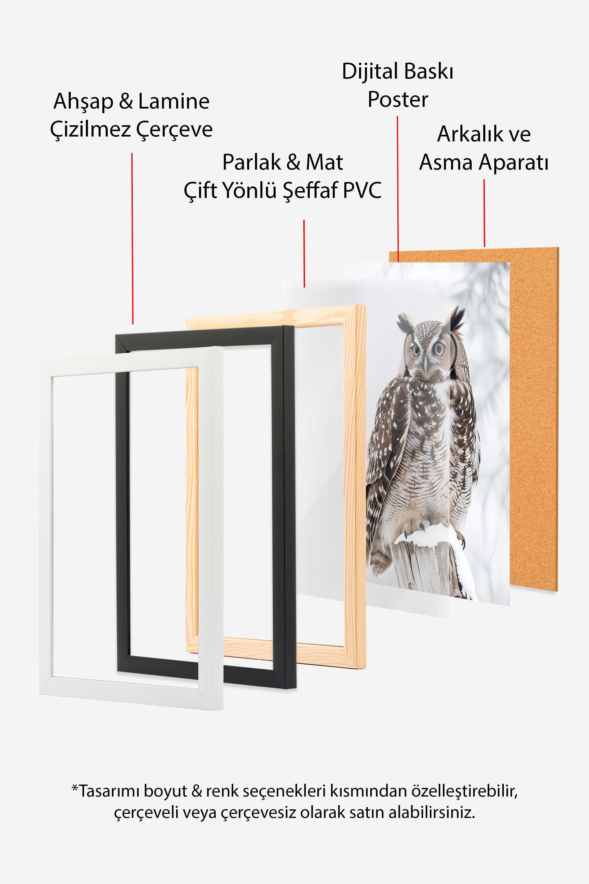 Owl in Snowfall Yılbaşı Tablo, Siyah Çerçeve ve Poster, Duvar Tablosu Comfort Serisi NO:108413