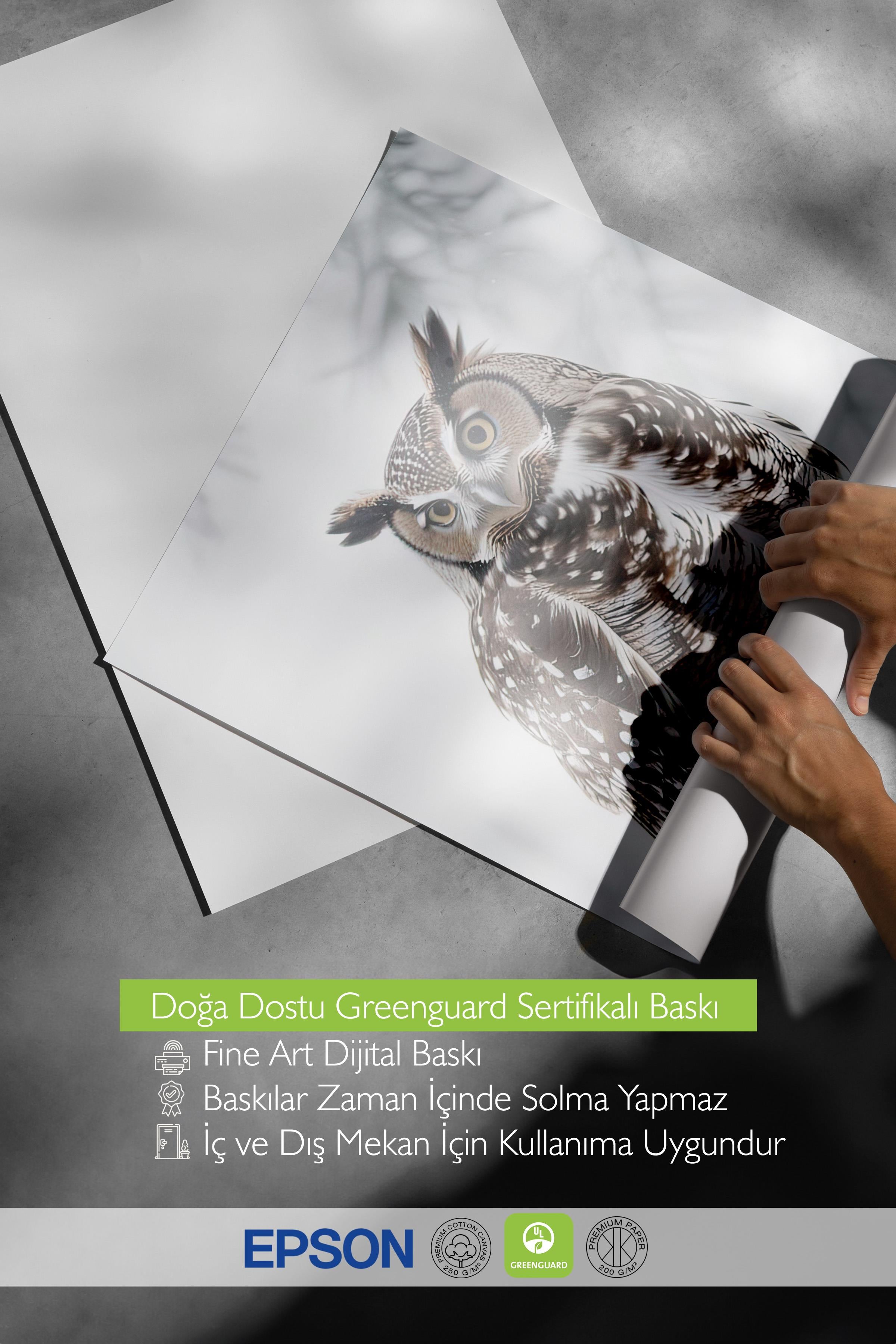 Owl in Snowfall Poster, Yılbaşı Duvar Posteri, Dikey Duvar Tablosu Comfort Serisi NO:108413