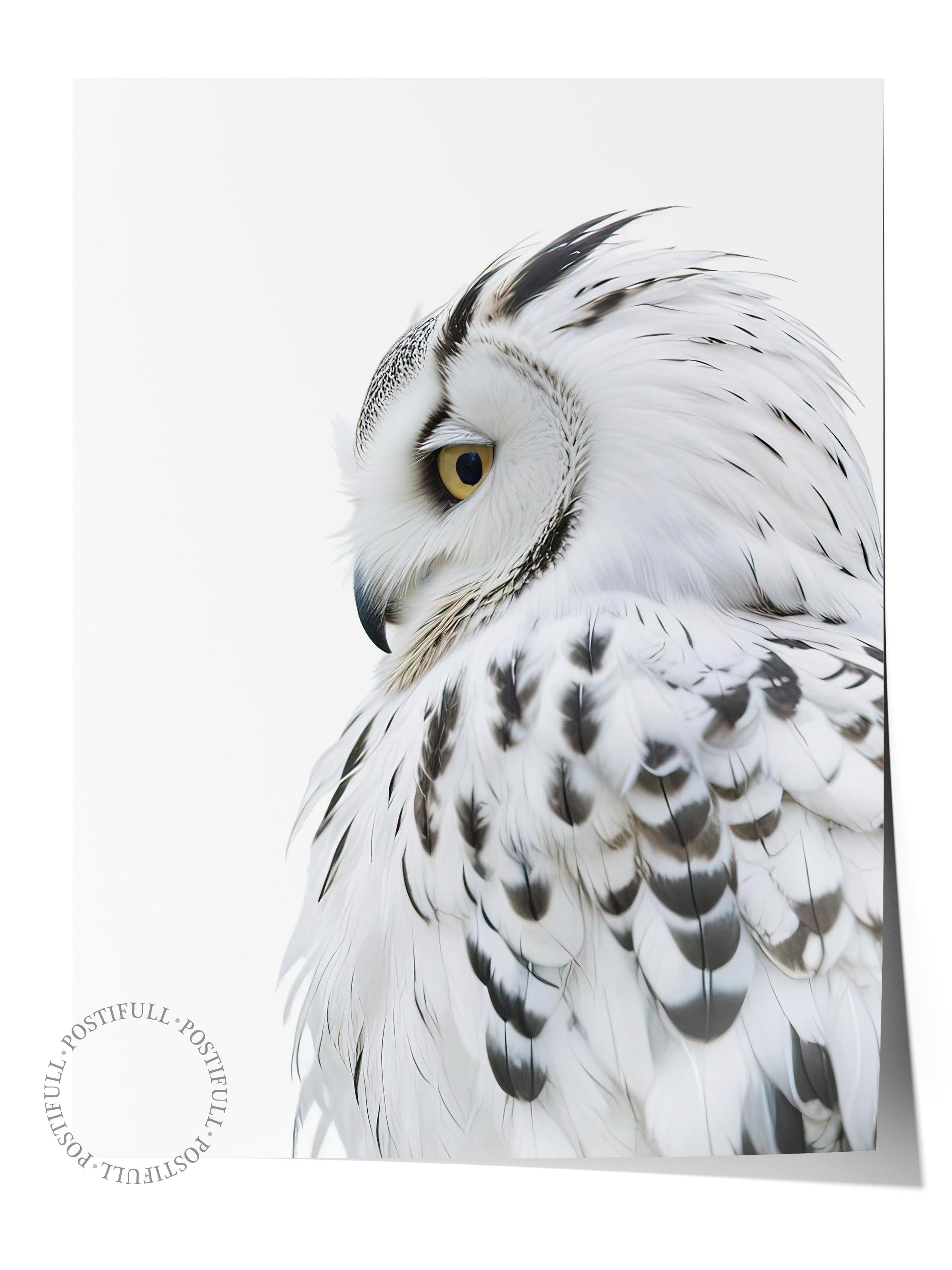 Owl Poster, Çerçevesiz Duvar Posteri, Dikey Duvar Tablosu Comfort Serisi NO:108301