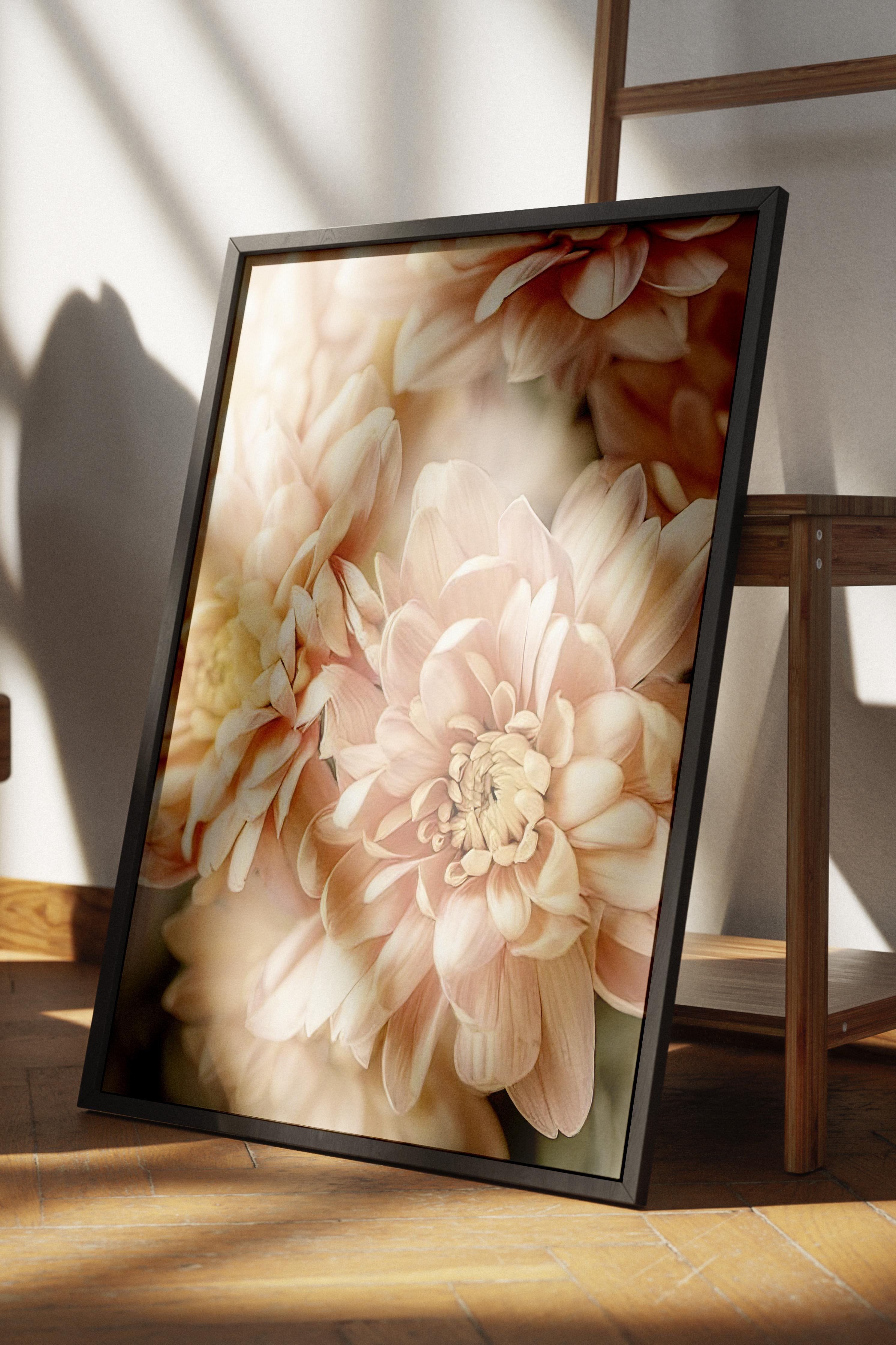 Pastel Dahlias Çerçeveli Tablo, Siyah Çerçeve ve Poster, Duvar Tablosu Comfort Serisi NO:108388