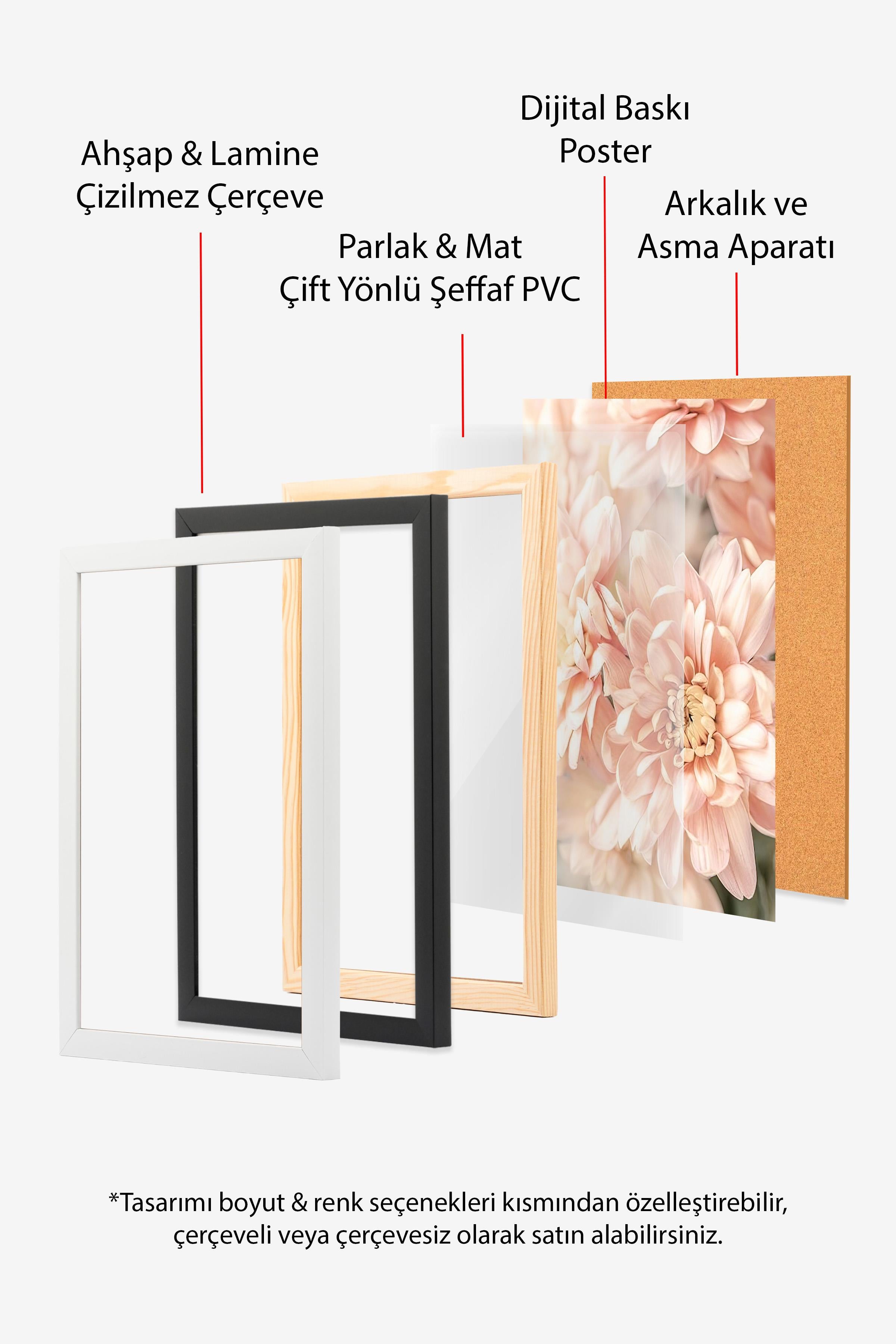 Pastel Dahlias Çerçeveli Tablo, Siyah Çerçeve ve Poster, Duvar Tablosu Comfort Serisi NO:108388
