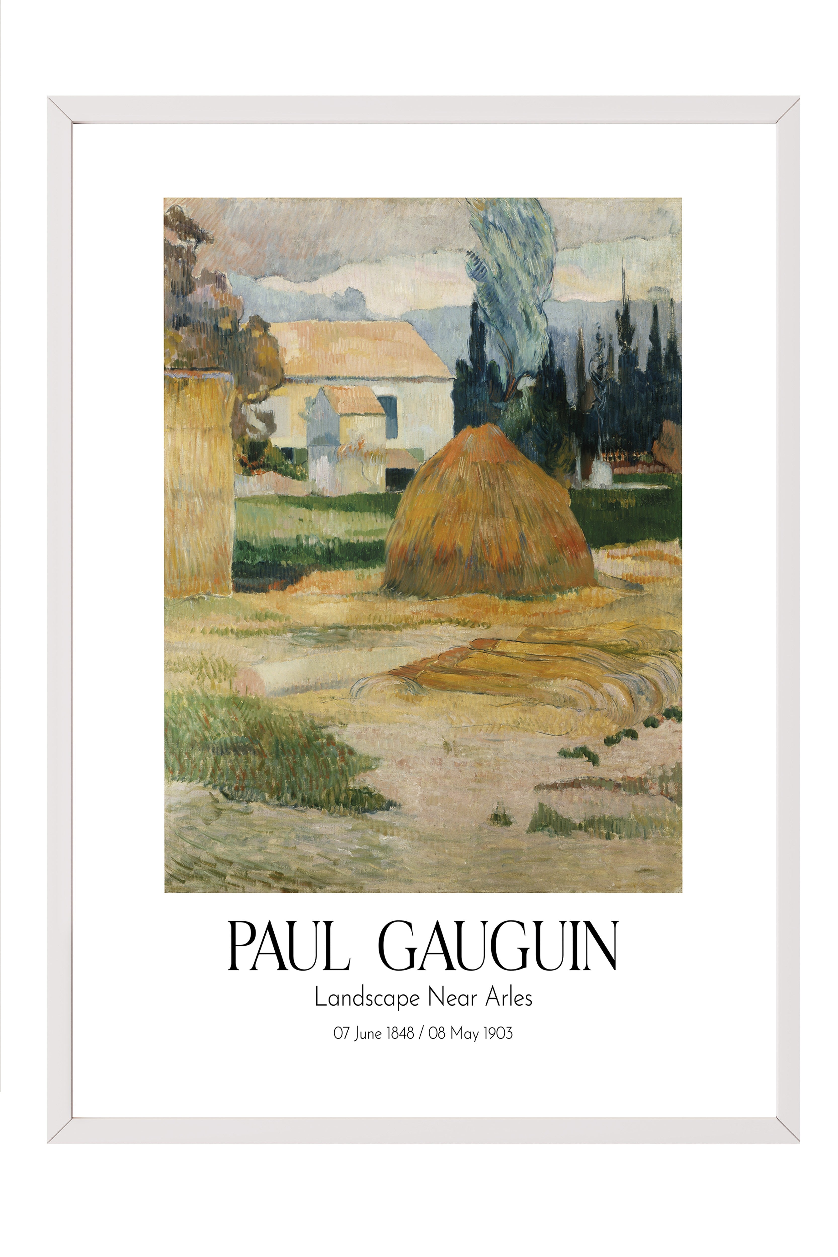 Paul Gauguin - Landscape Near Arles, Beyaz Çerçeveli Tablo, Sanat Serisi NO:110549