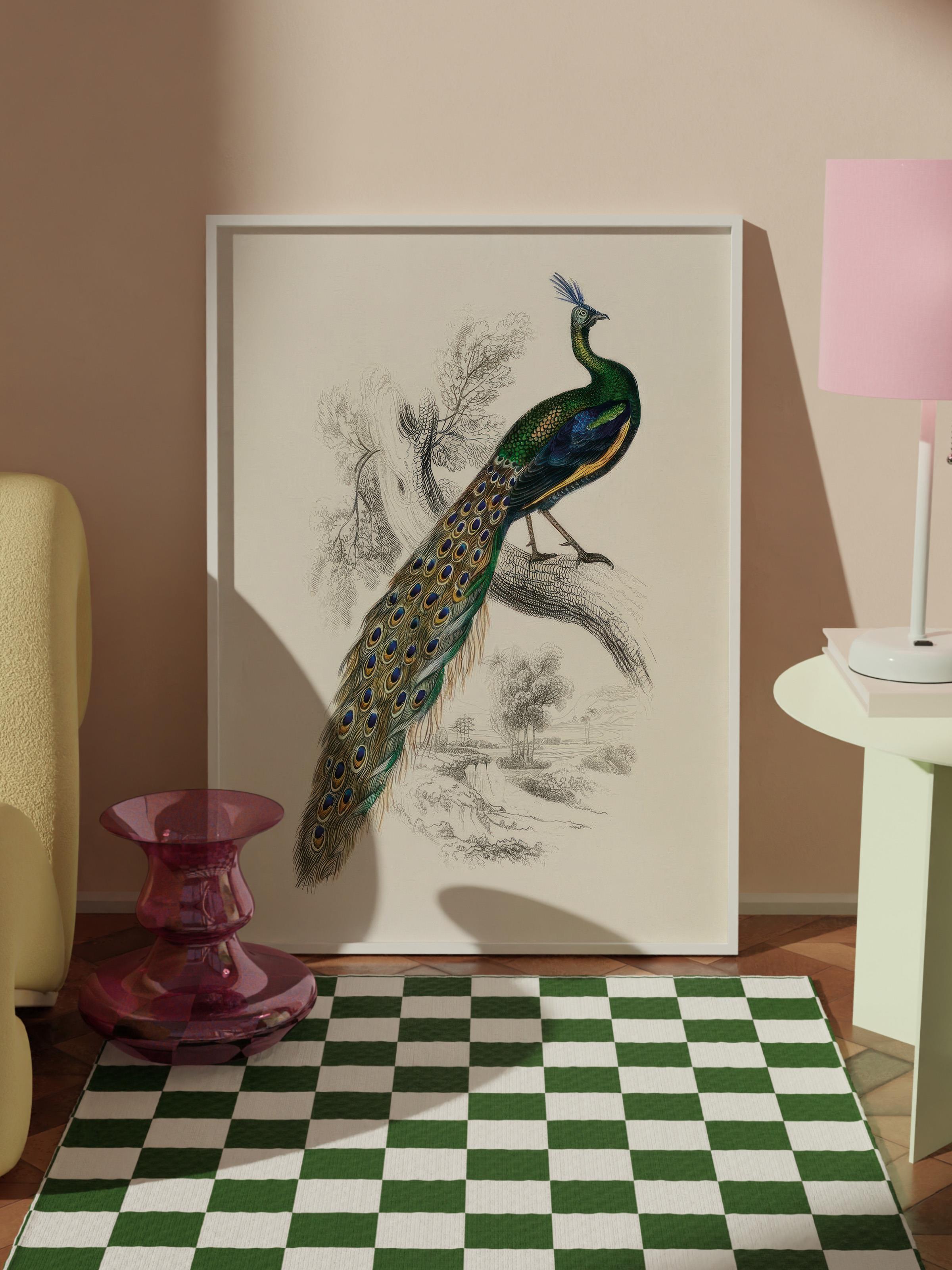 Peafowl Portrait Çerçeveli Tablo, Beyaz Çerçeve ve Poster, Duvar Tablosu Comfort Serisi NO:108500