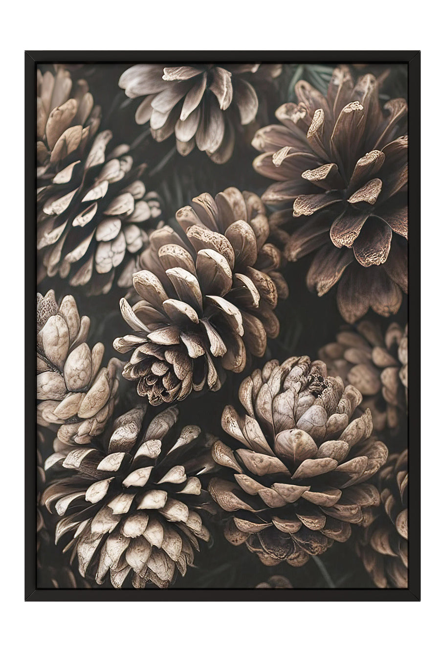 Çam Kozalakları Poster – Siyah Çerçeveli Tablo