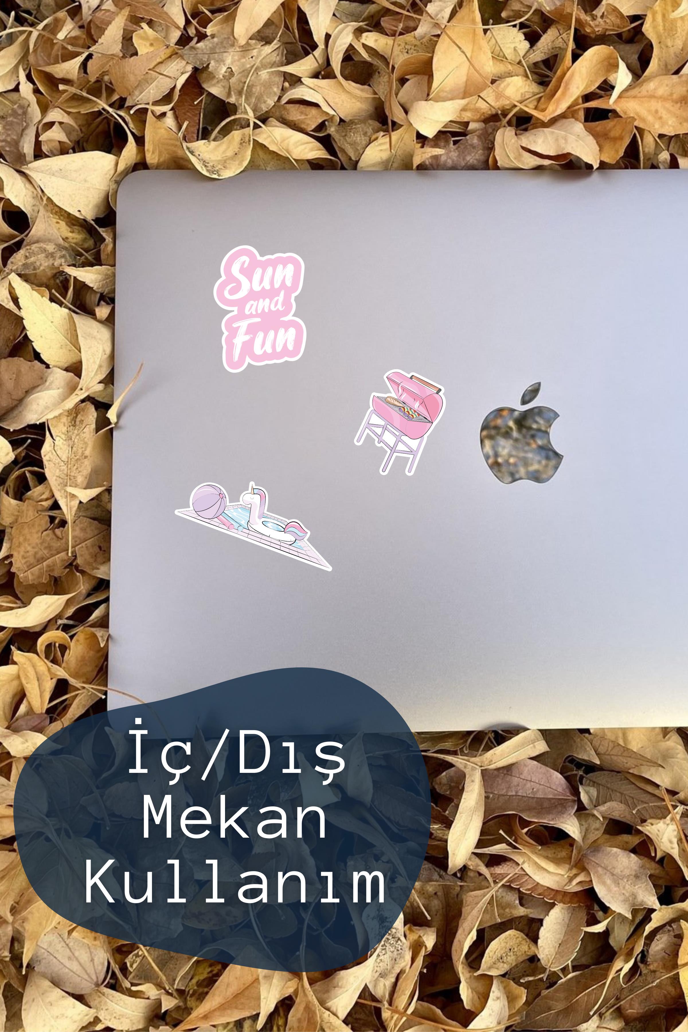 Havuz Partisi Temalı Sticker ve Etiket Seti - Orta Boy - Su Geçirmez, Kalın Yapışkanlı Sticker Seti
