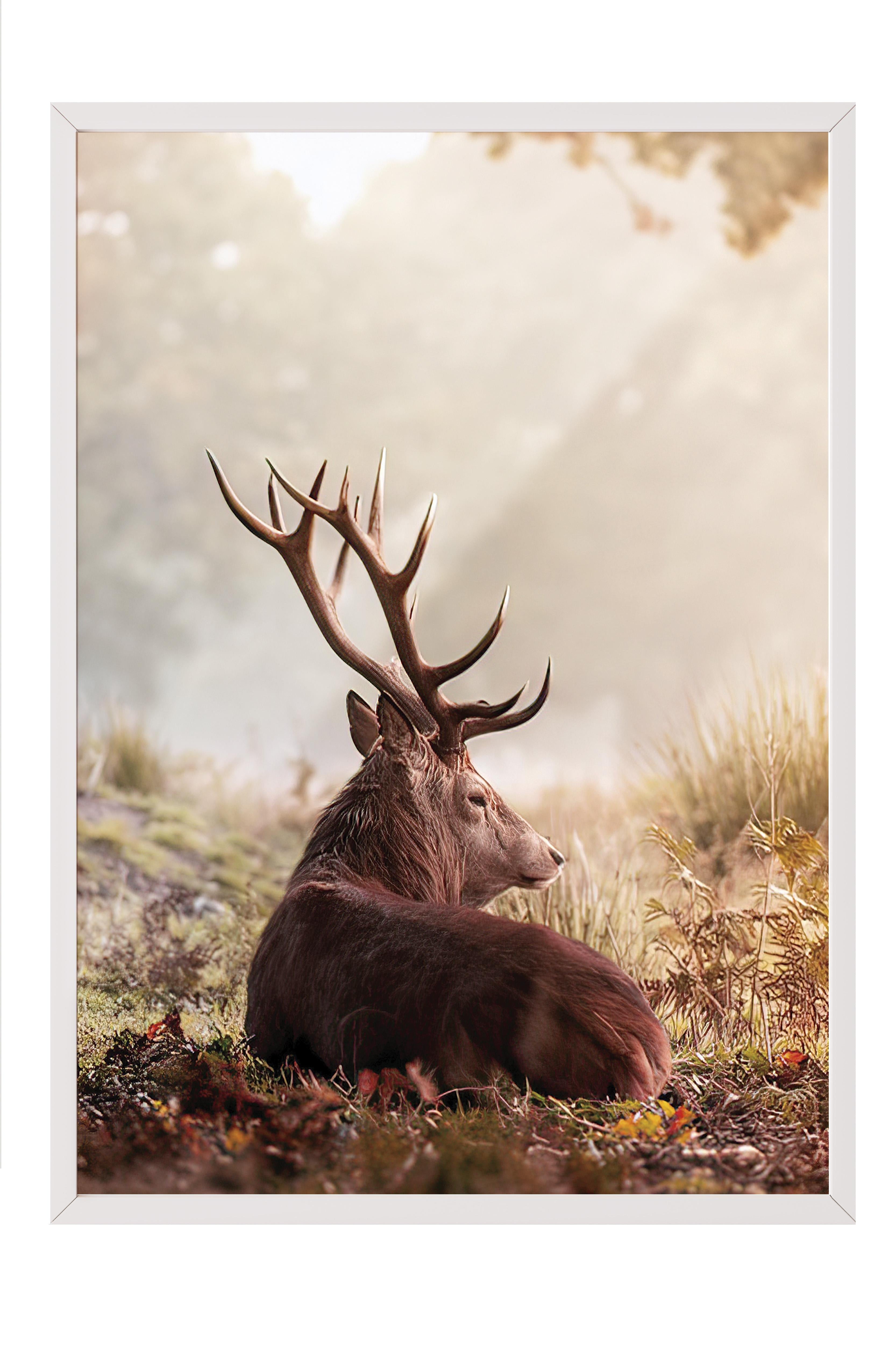Red Deer Çerçeveli Tablo, Beyaz Çerçeve ve Poster, Dikey Duvar Tablosu Comfort Serisi NO:108351